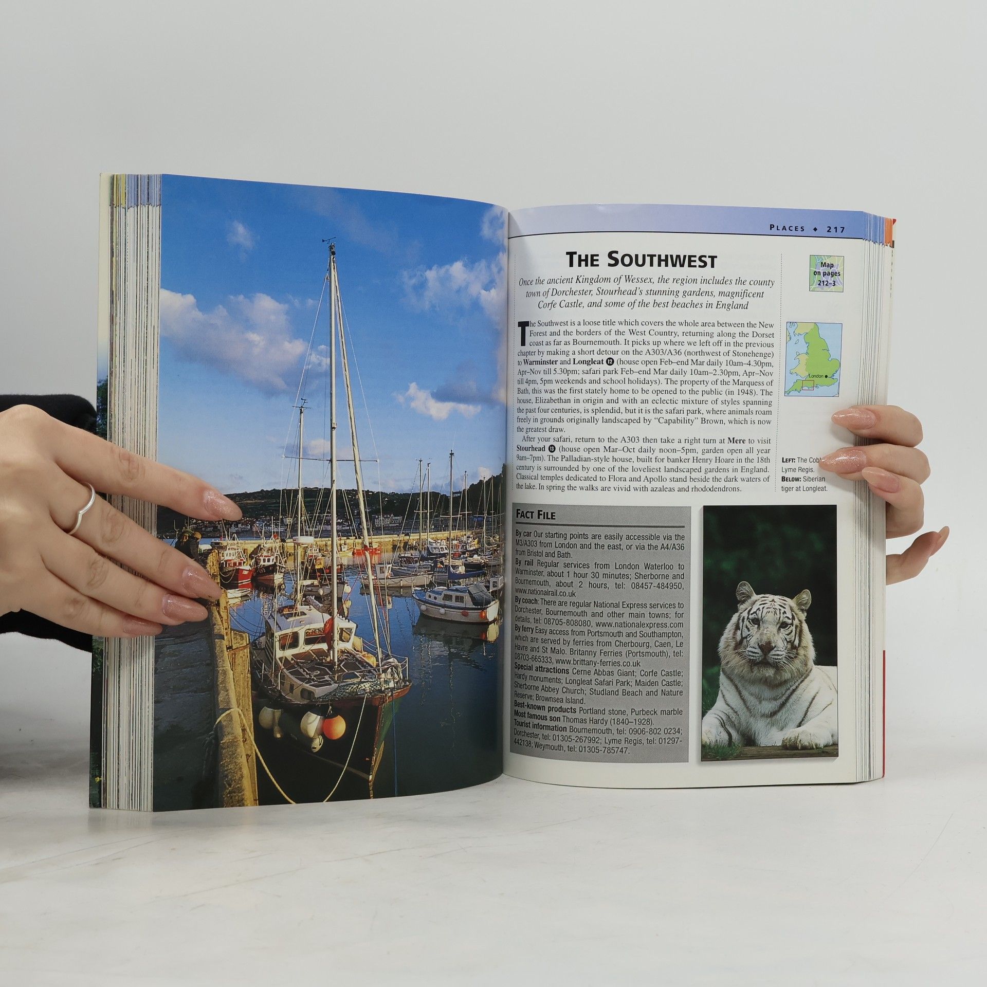 Pam Barrett Insight Guides: Insight Guide England