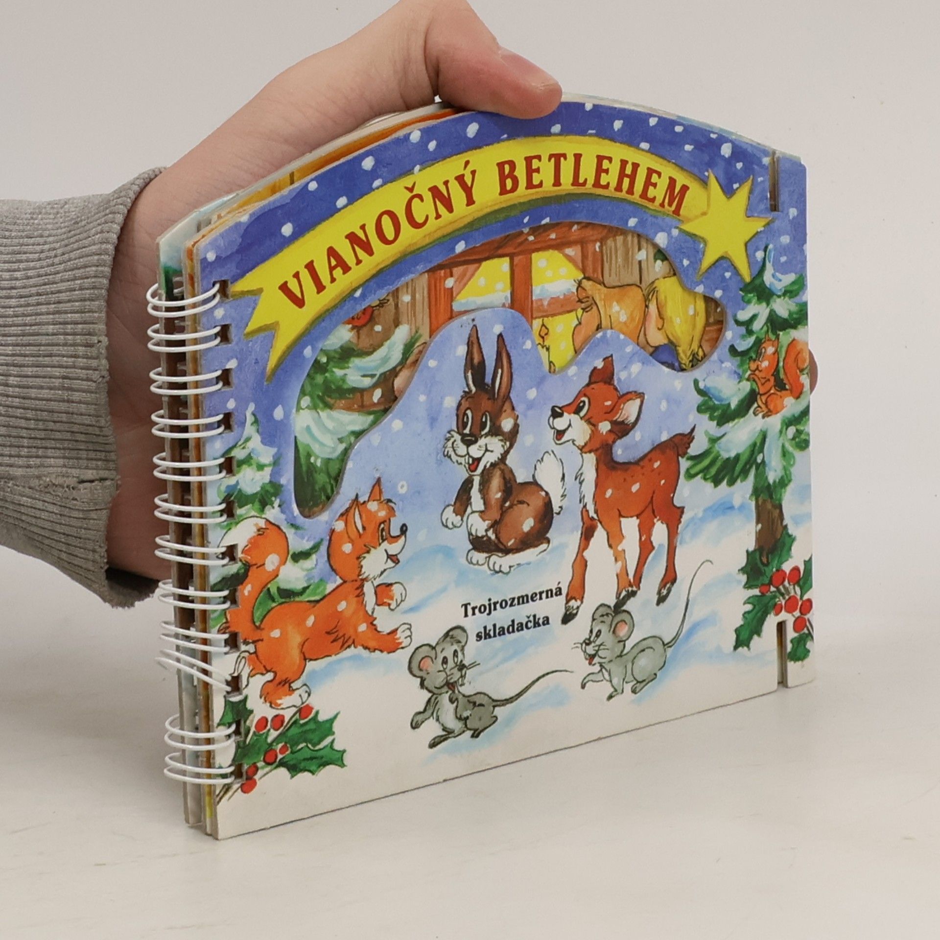 Autorenkollektiv Vianočný Betlehem