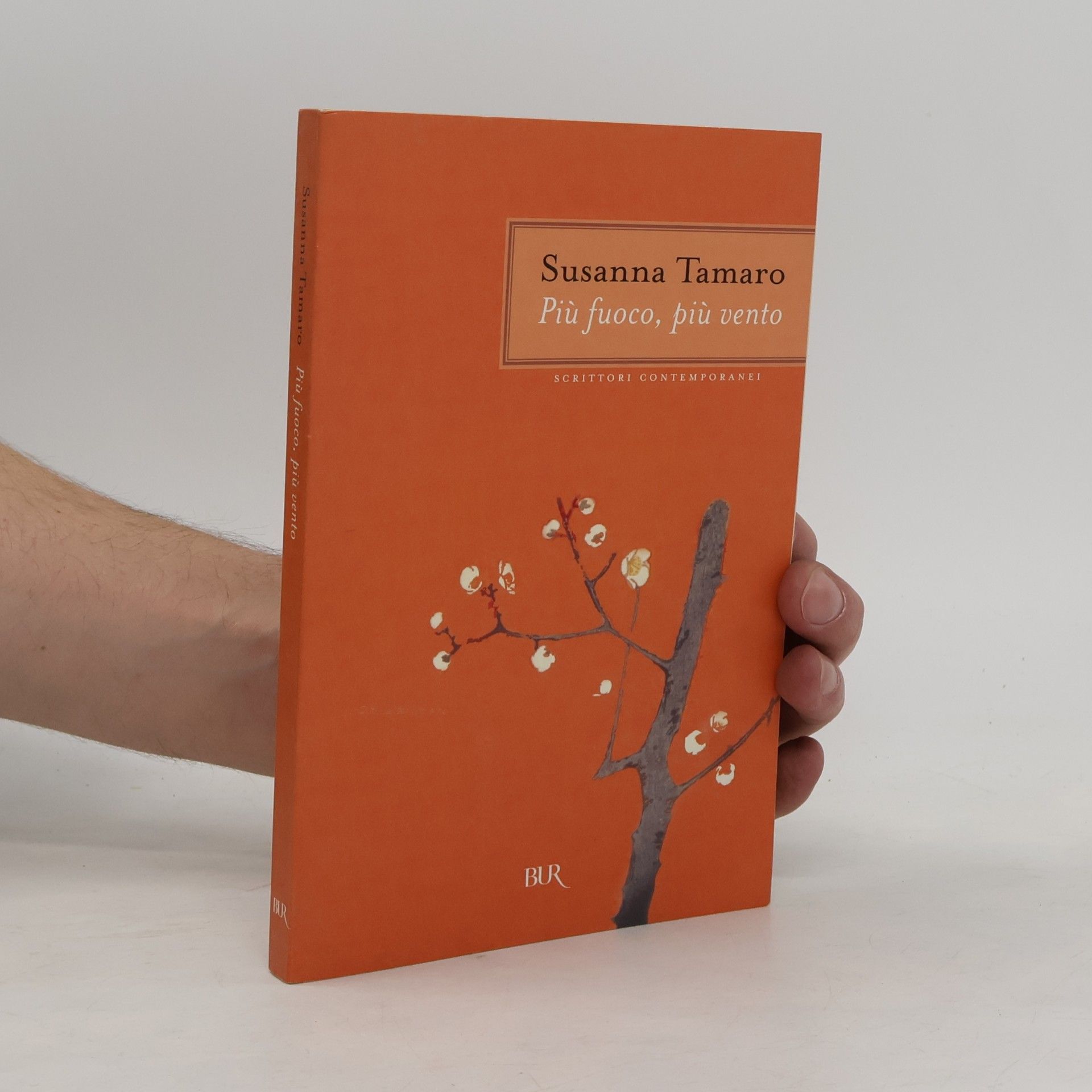 Susanna Tamaro Più fuoco, più vento