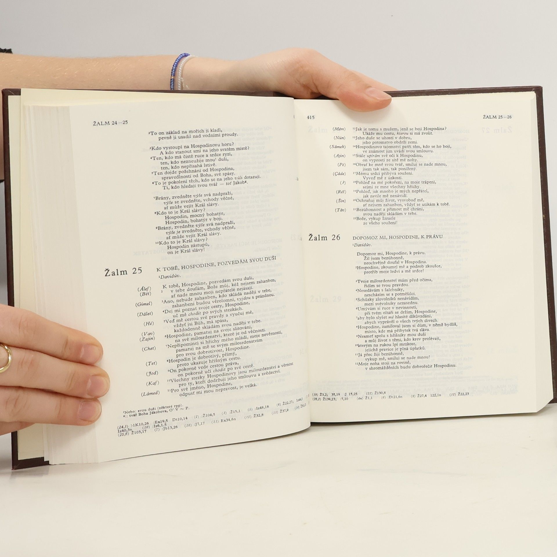 Various authors Bible. Písmo svaté Starého i Nového zákona. Ekumenický překlad