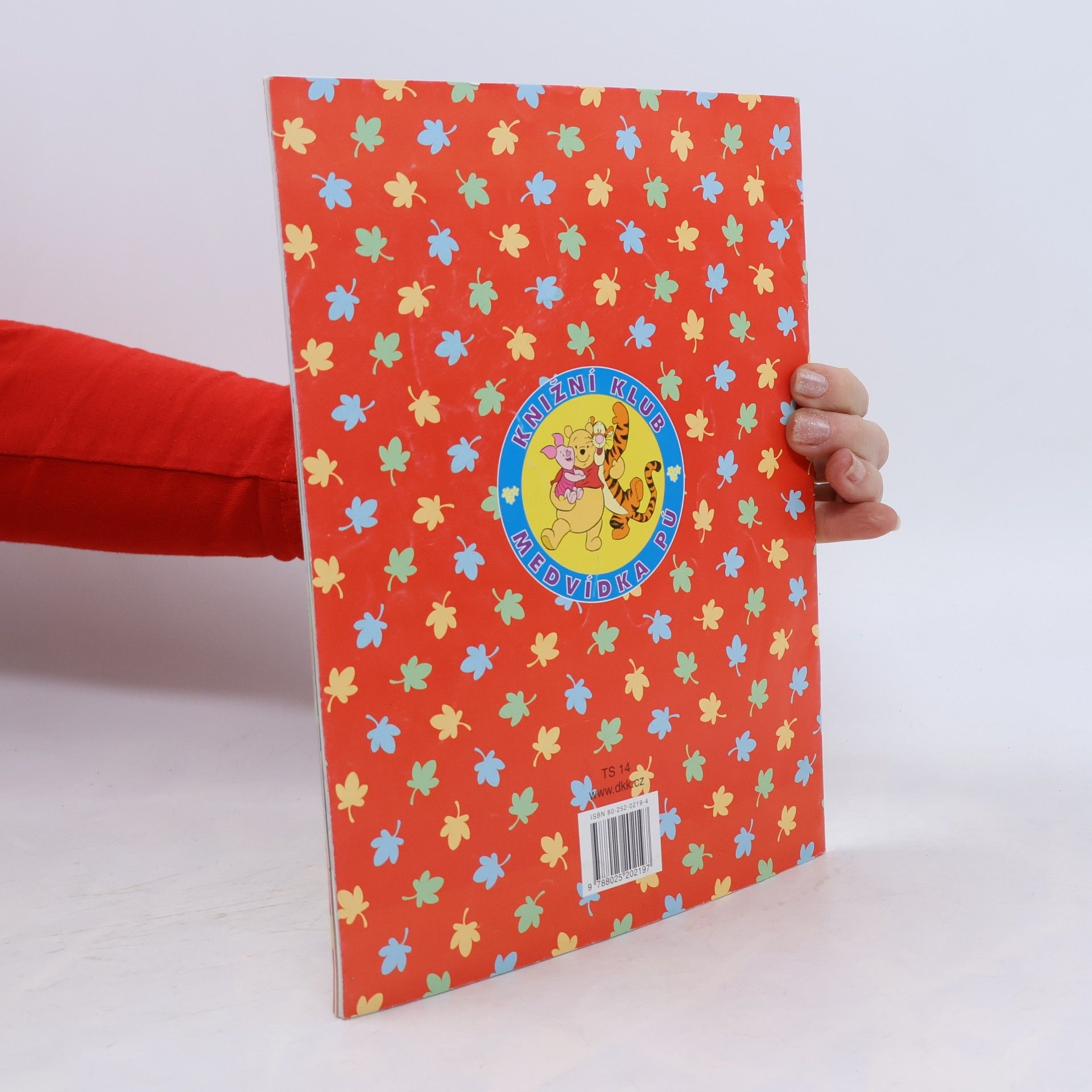 Autorenkollektiv Medvídek Pú: Nástrahy a nebezpečí