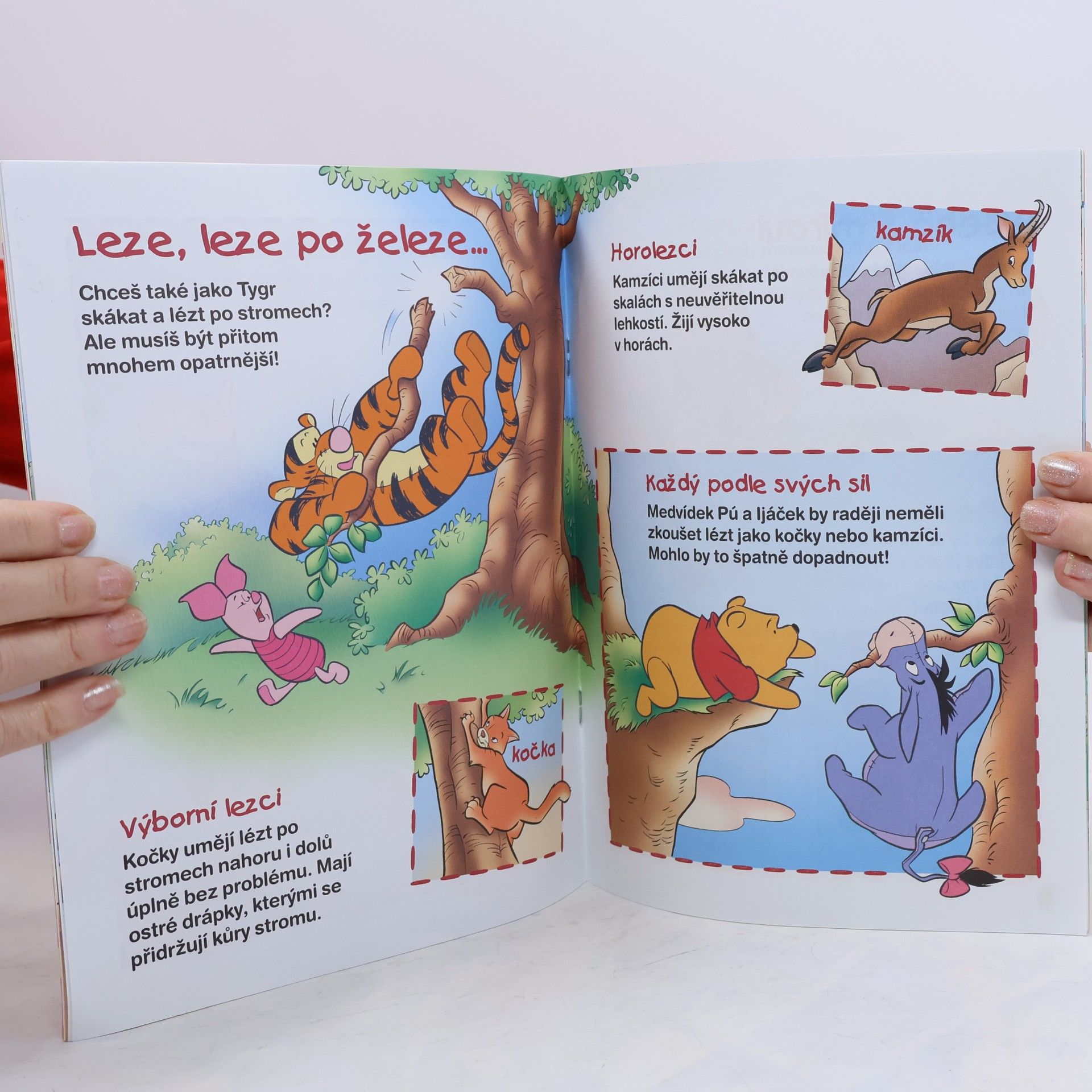 Autorenkollektiv Medvídek Pú: Nástrahy a nebezpečí