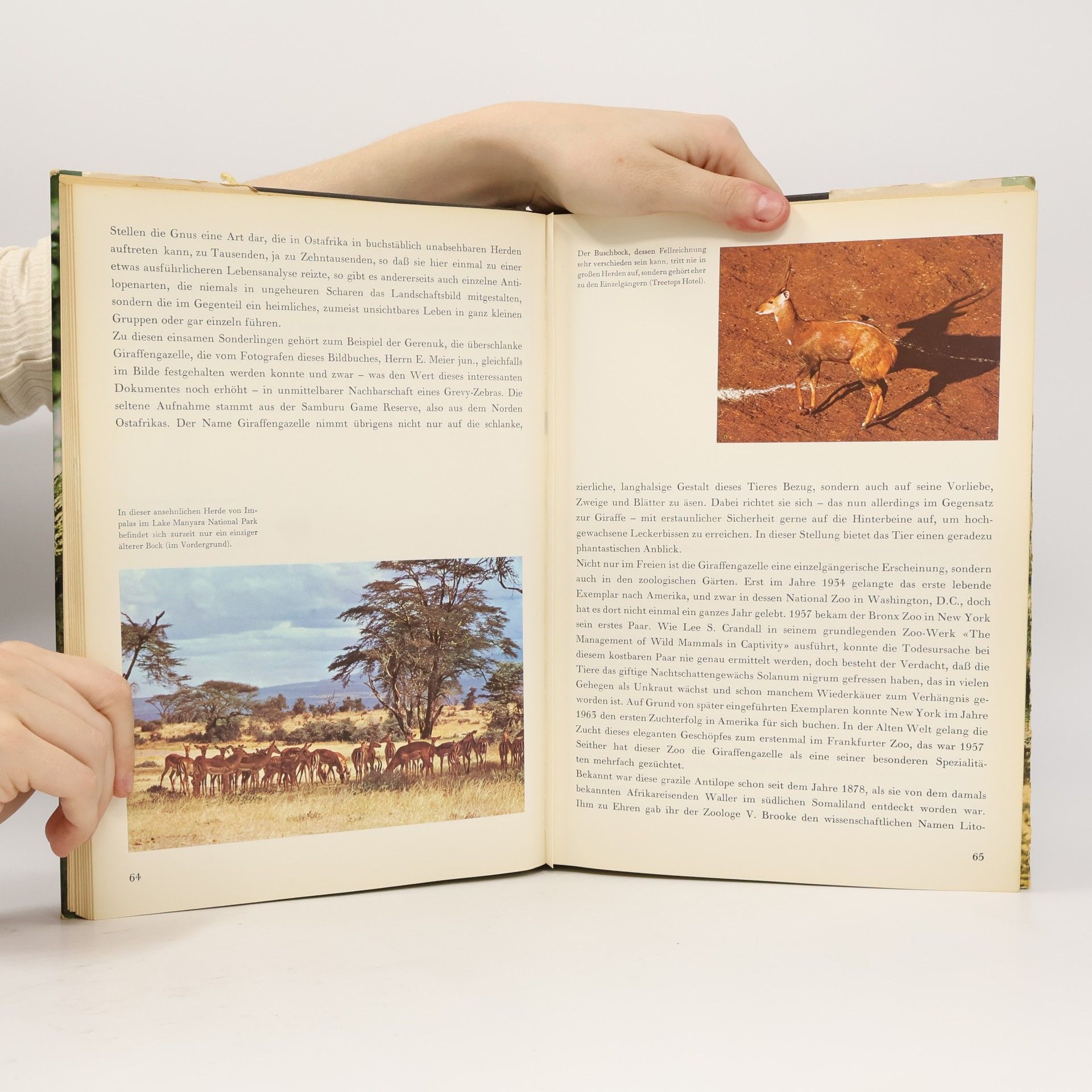 Autorenkollektiv Zoo Oslafrika