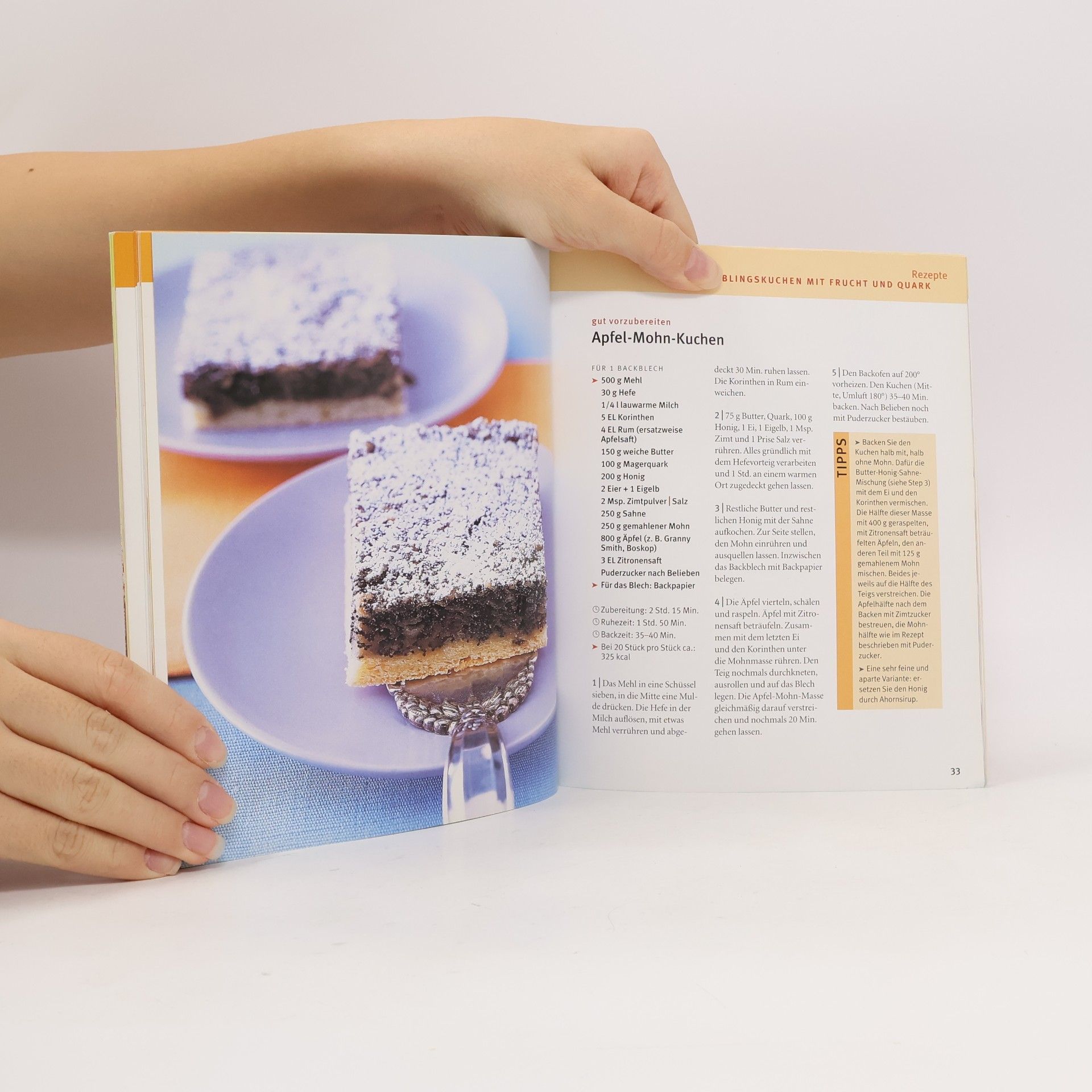Gudrun Ruschitzka Blechkuchen klassisch und neu