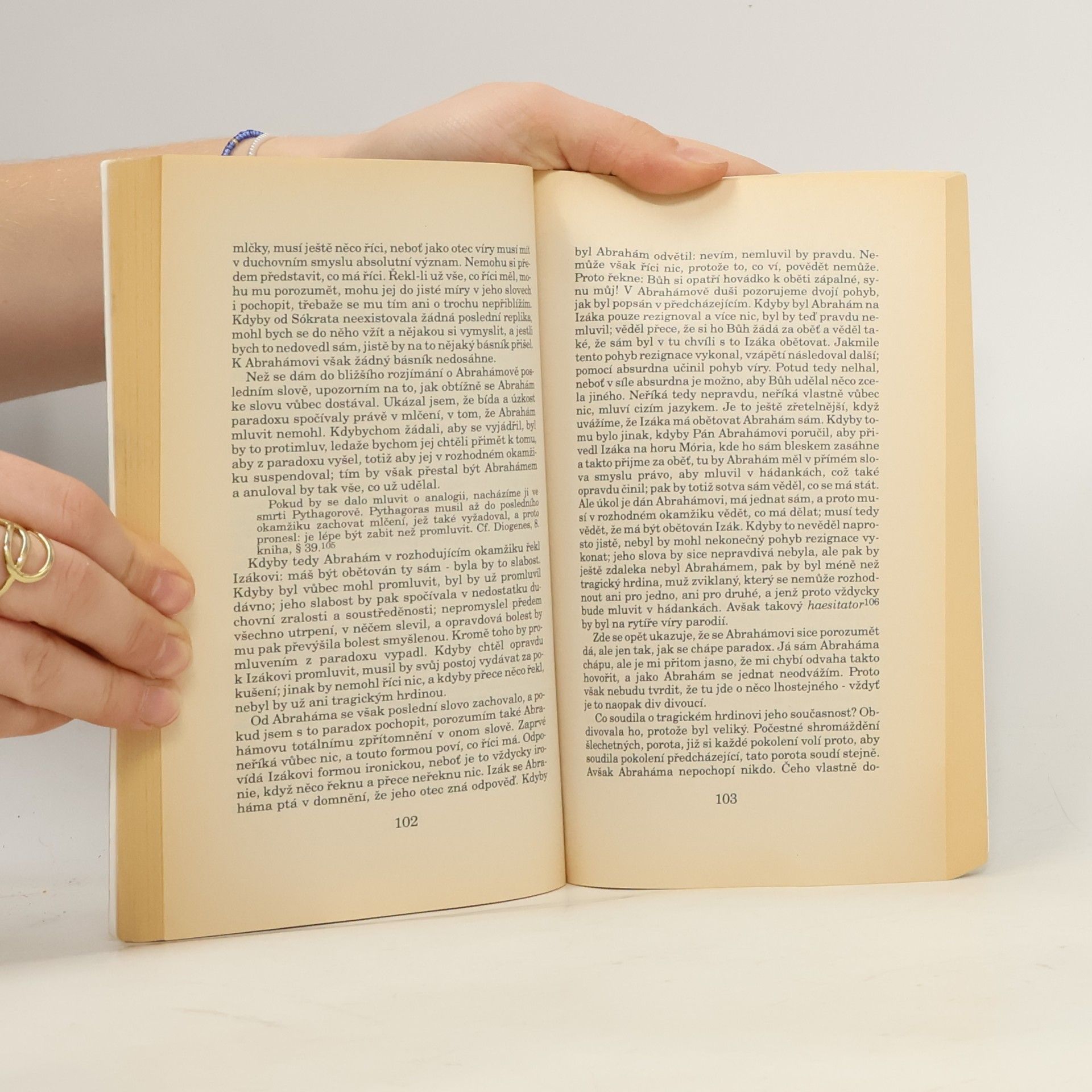 Søren Kierkegaard Bázeň a chvění. Nemoc k smrti