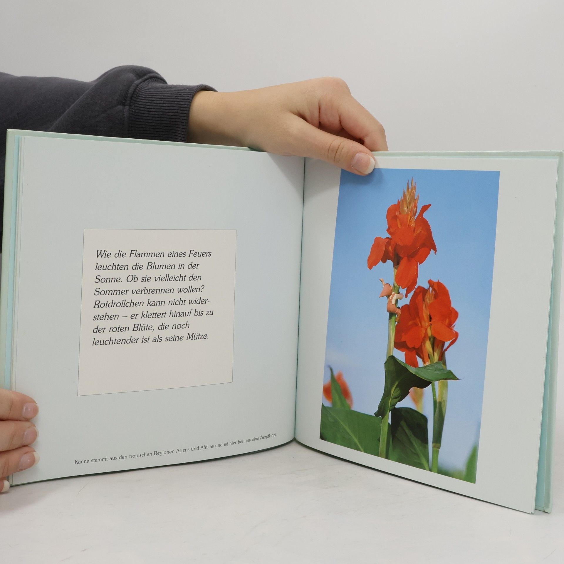 Nakamura Die Drollis im Reich der Blumen. Druckschriftausgabe