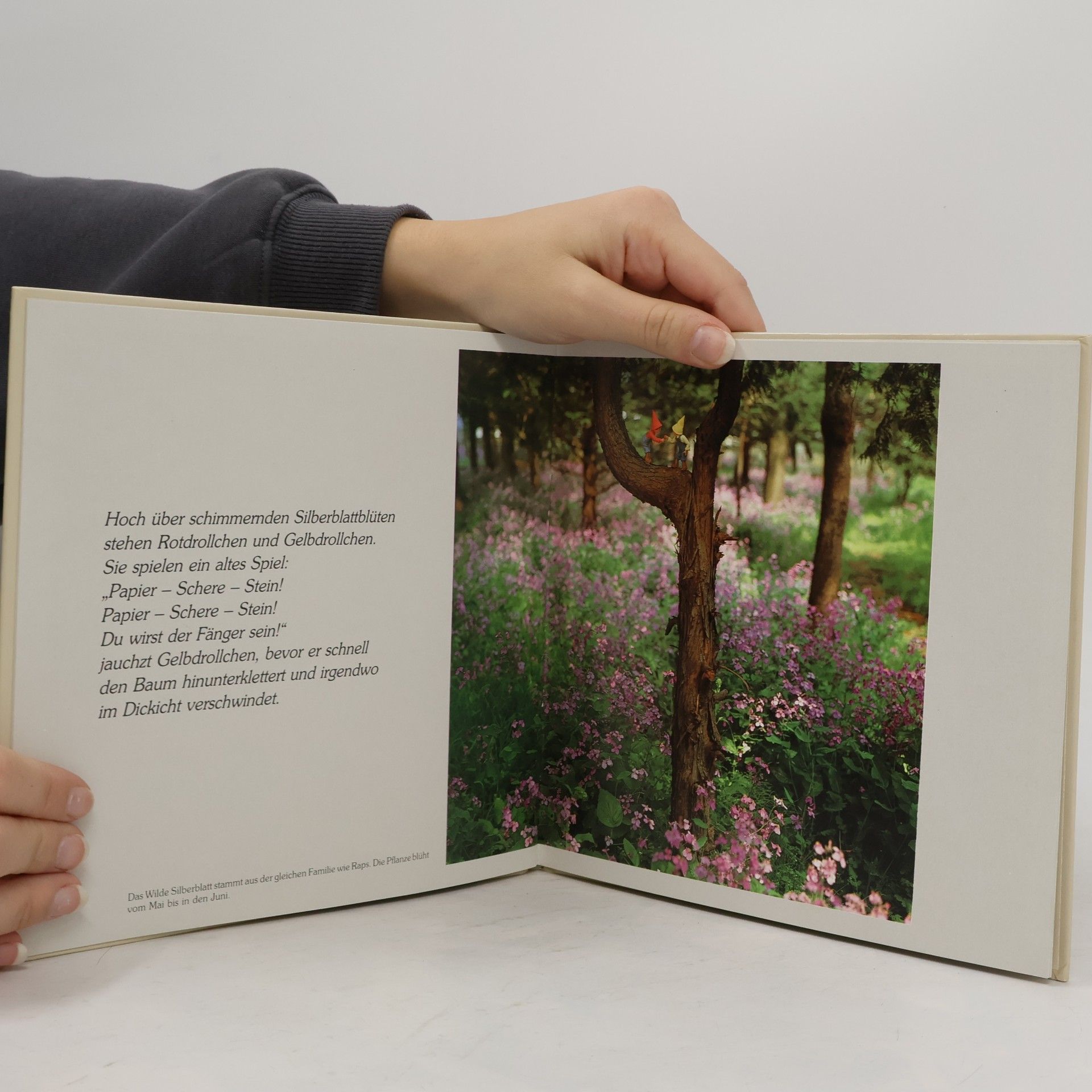 Nakamura Die Drollis spielen in der Natur. Druckschriftausgabe