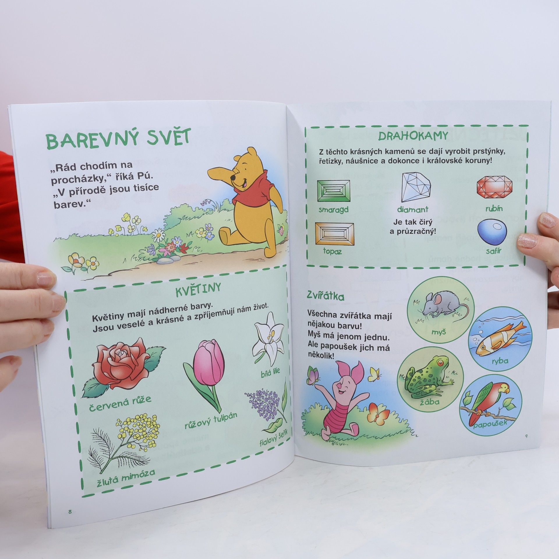 Autorenkollektiv Objevujeme barvy. Medvídek Pú
