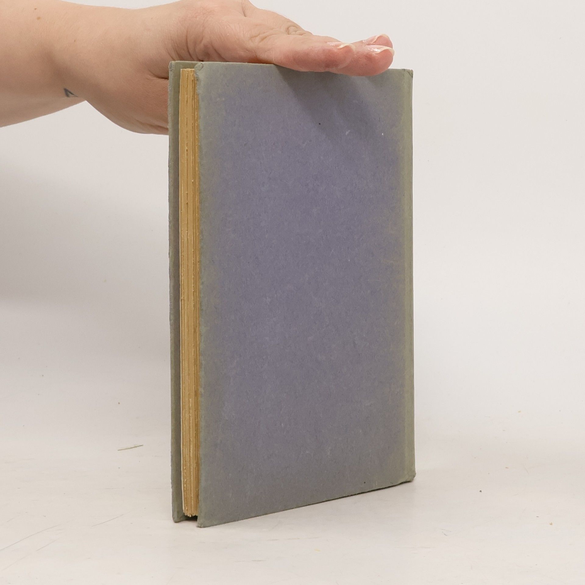 K. E. Schimmer Allgemeines fremdwörterbuch