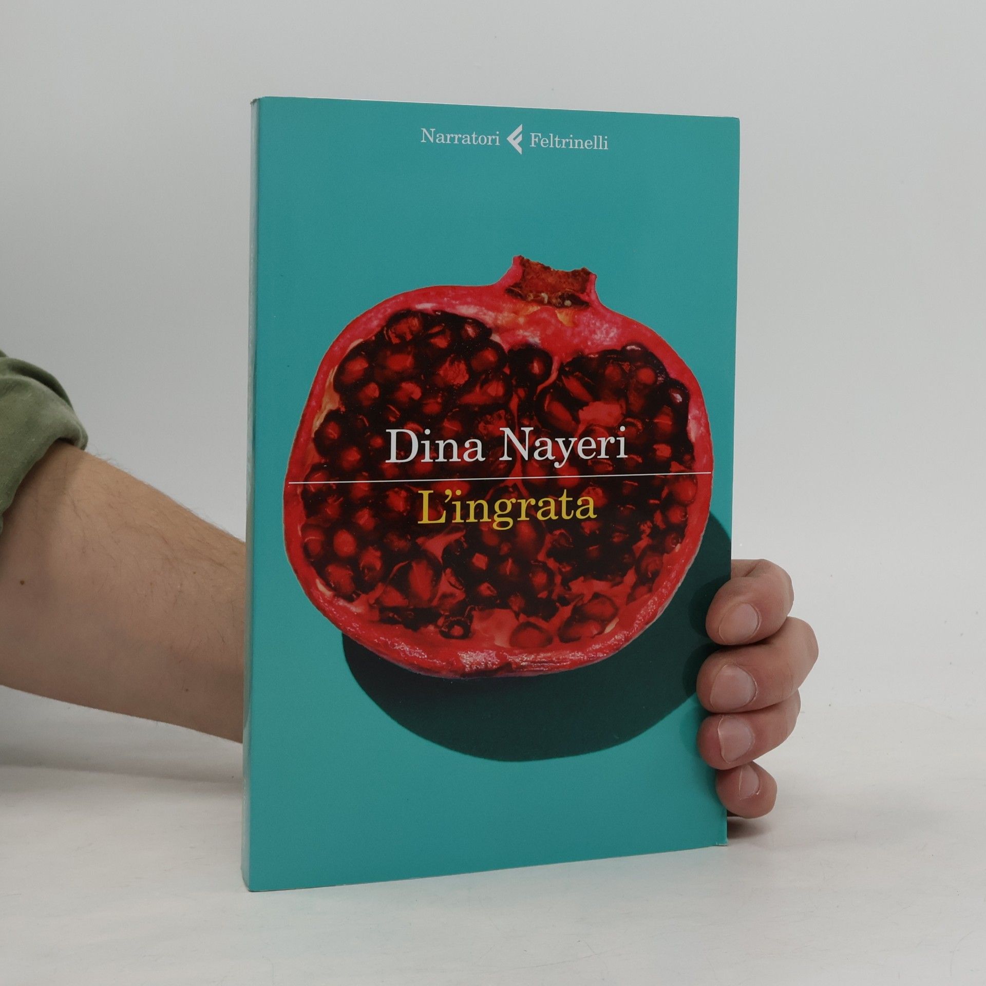 Dina Nayeri L'ingrata