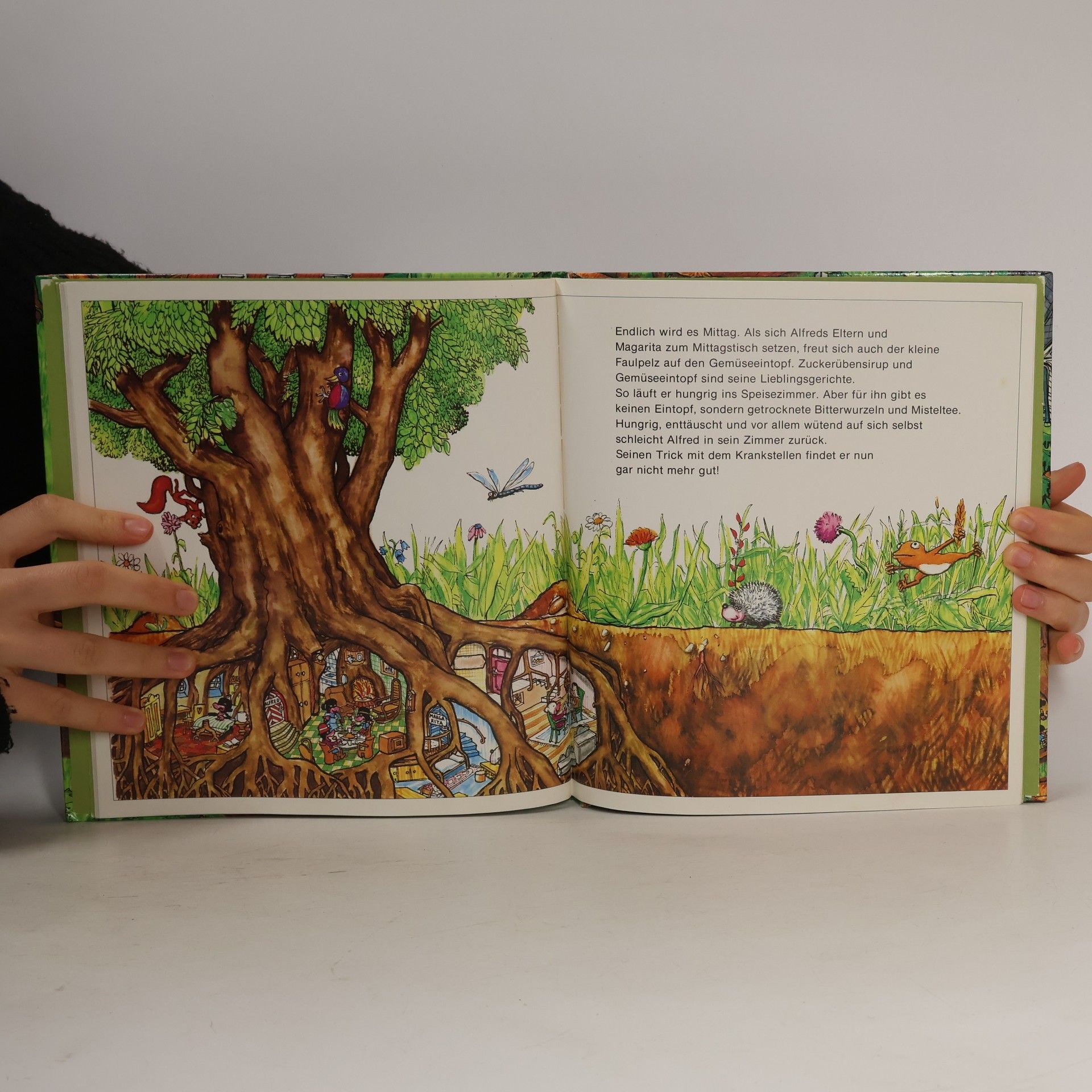 Rudi Gigler Der Faulpelz