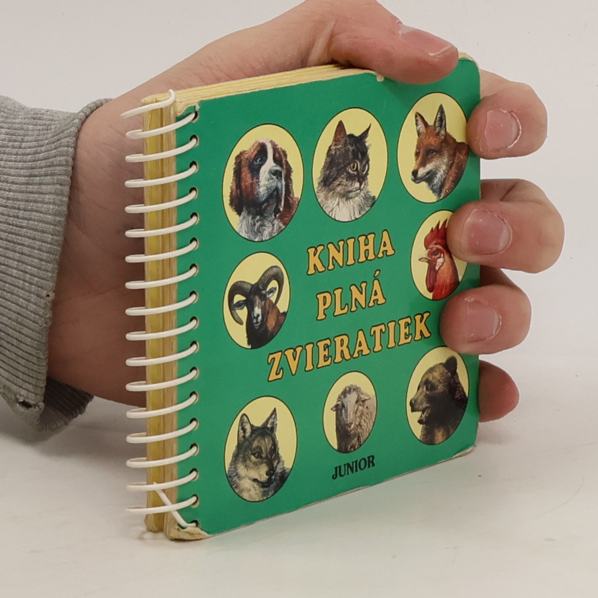Autorenkollektiv Kniha plná zvieratiek