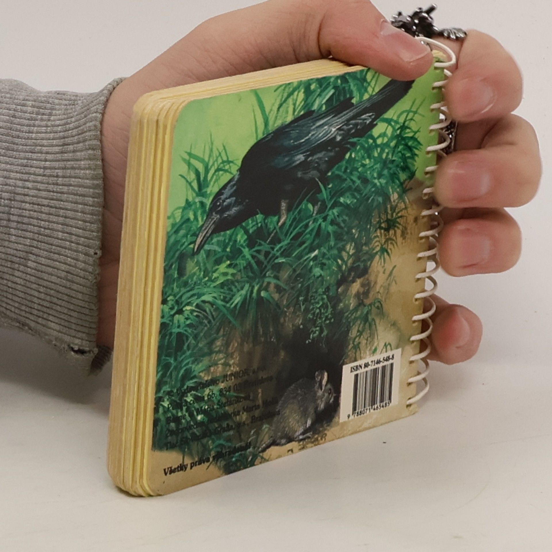 Autorenkollektiv Kniha plná zvieratiek