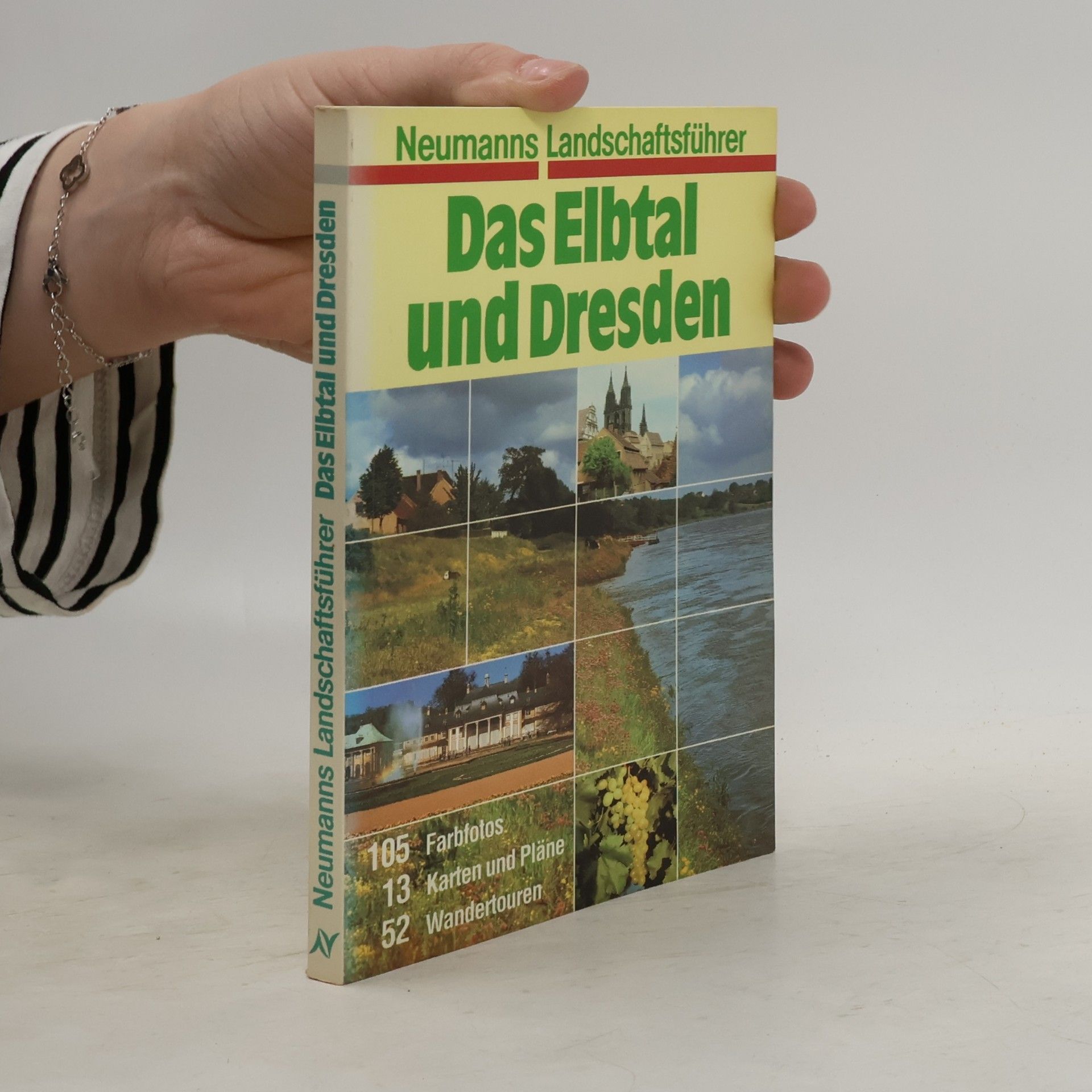 Hermann Thomas Das Elbtal und Dresden