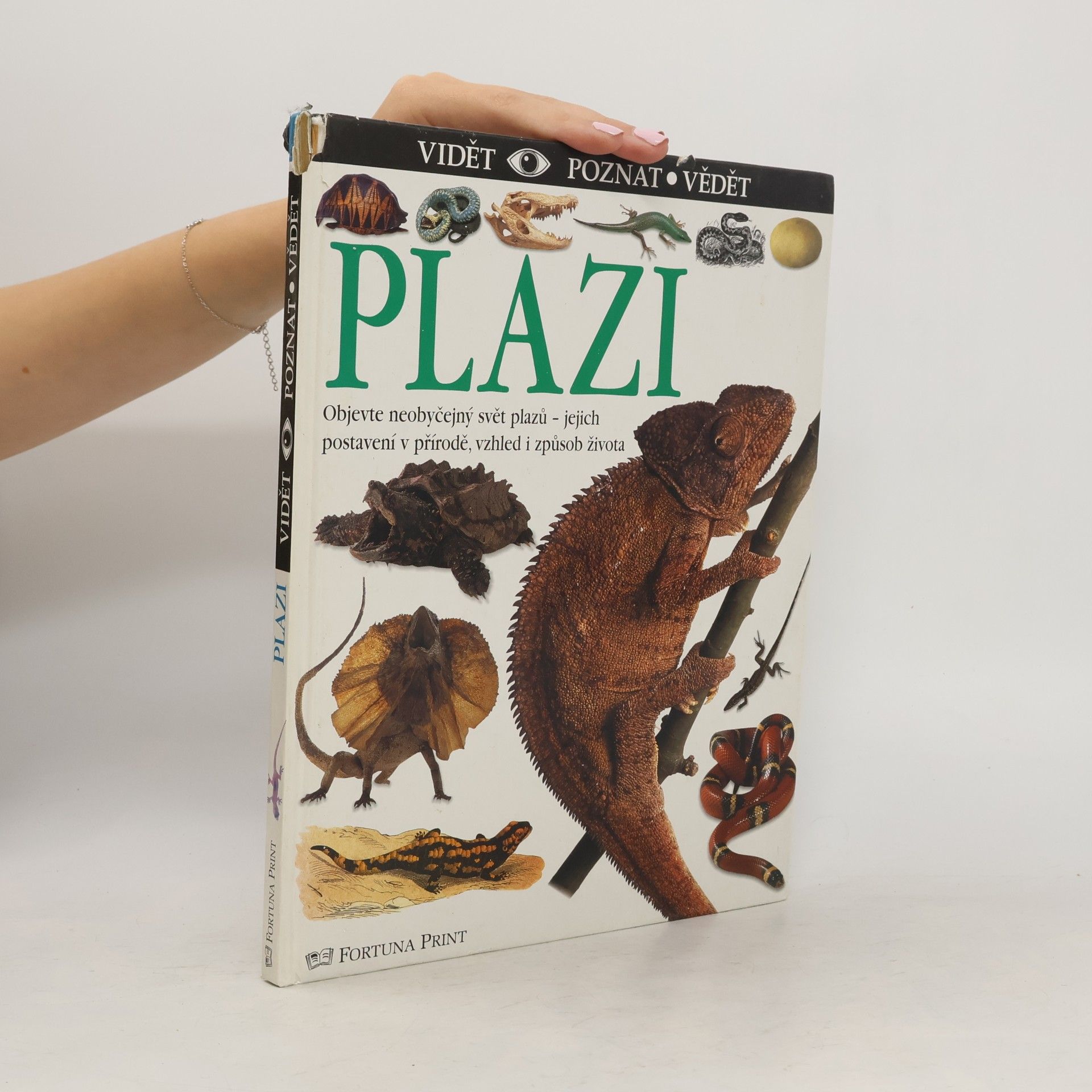 Plazi