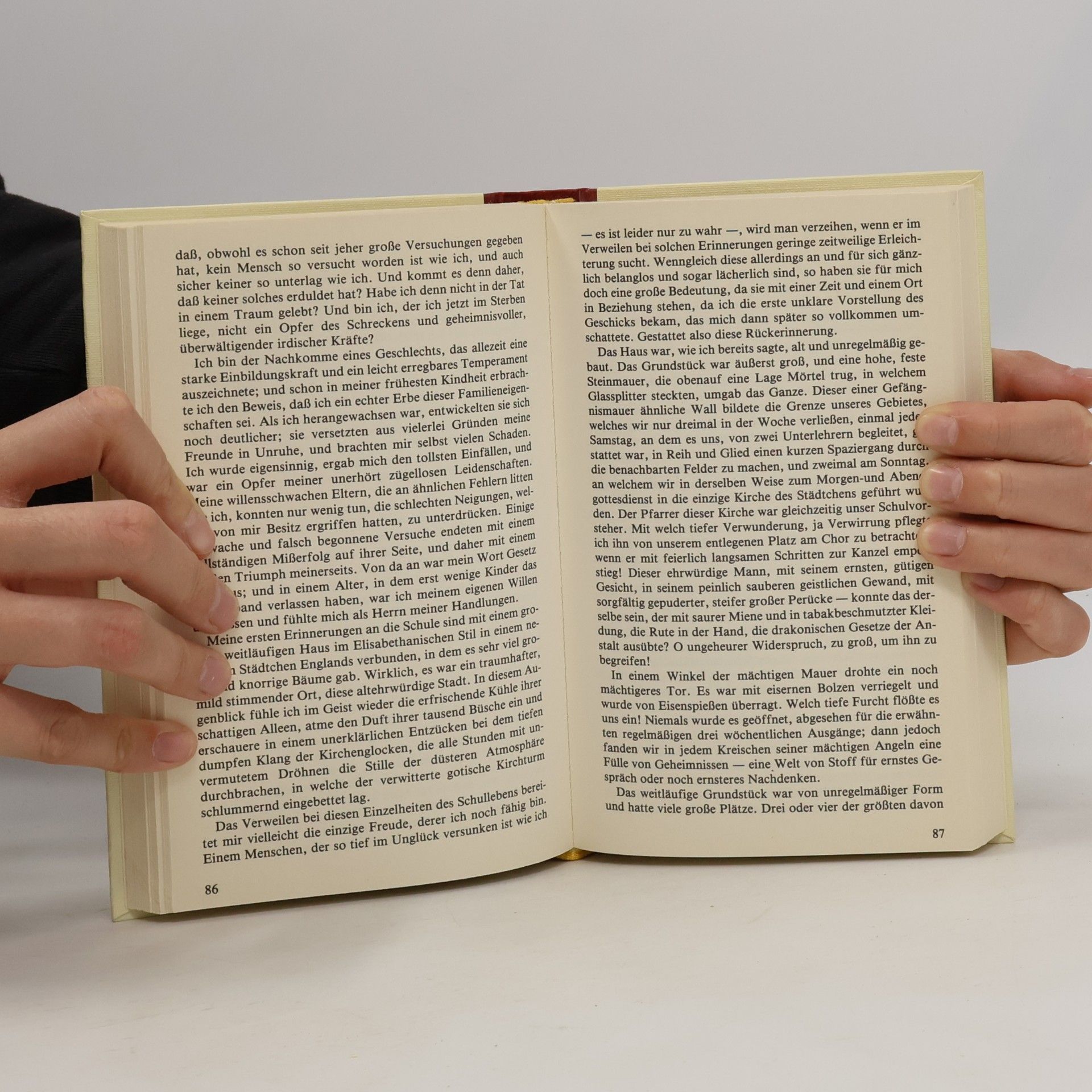 Edgar Allan Poe Unheimliche Geschichten
