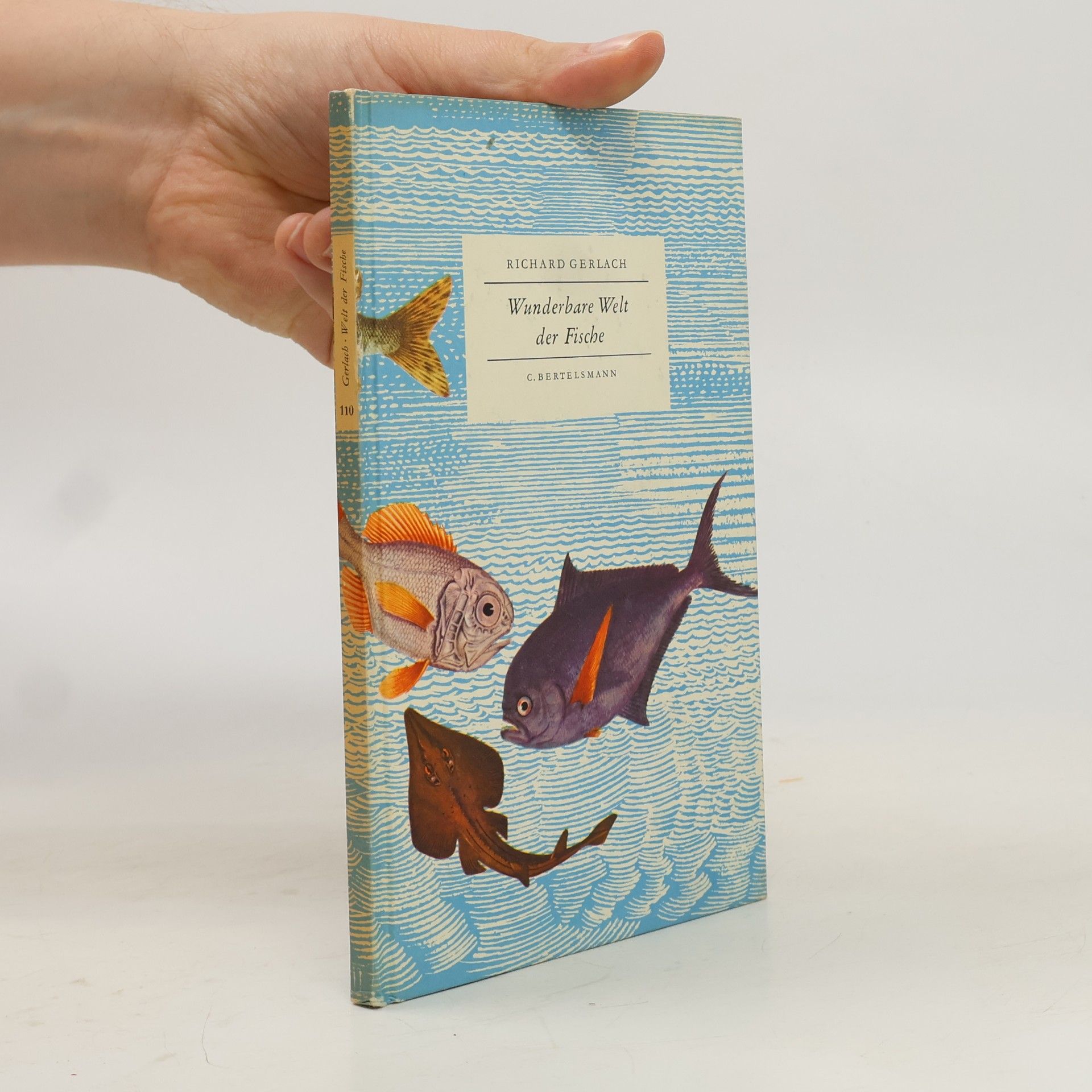 Wunderbare Welt der Fische