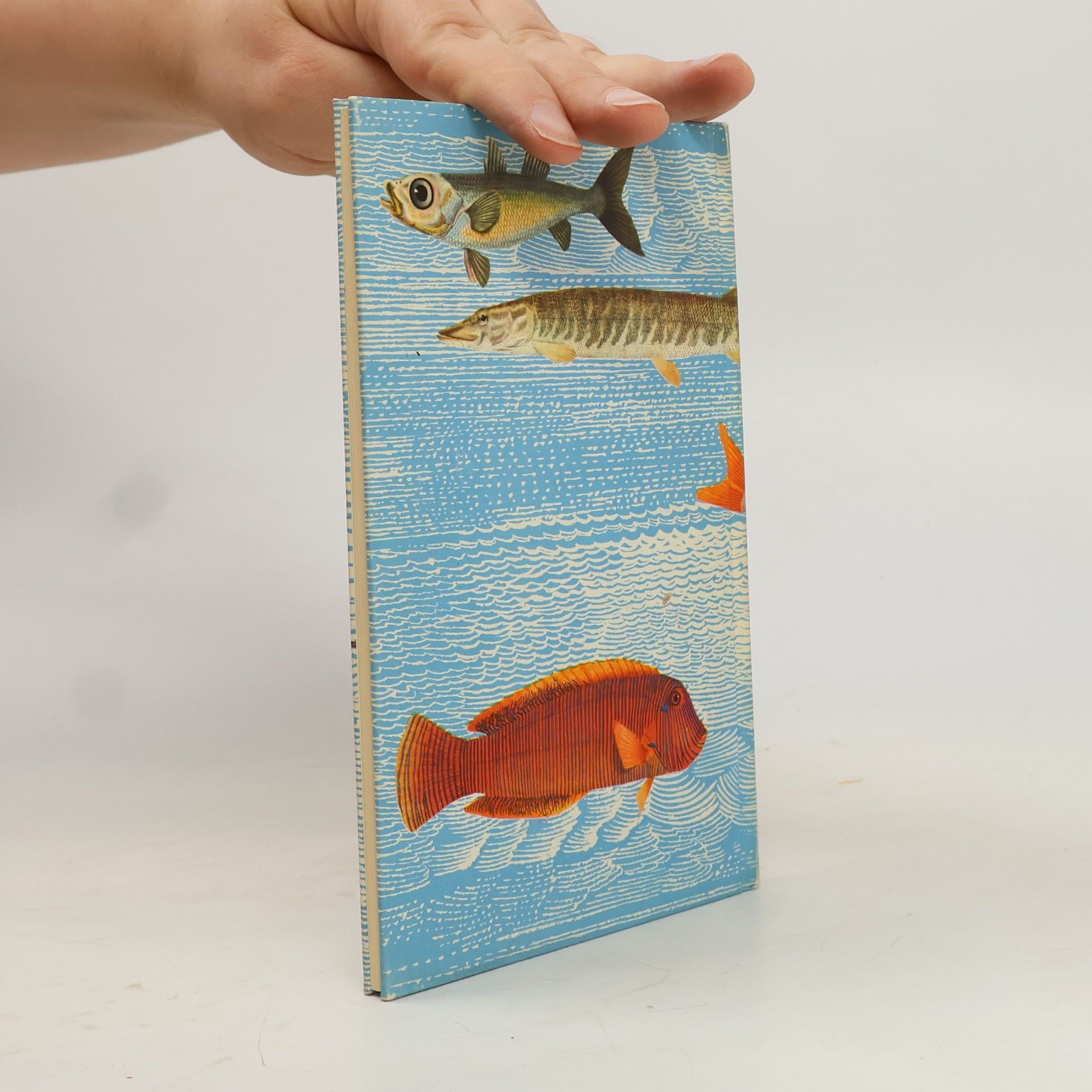 Richard Gerlach Wunderbare Welt der Fische