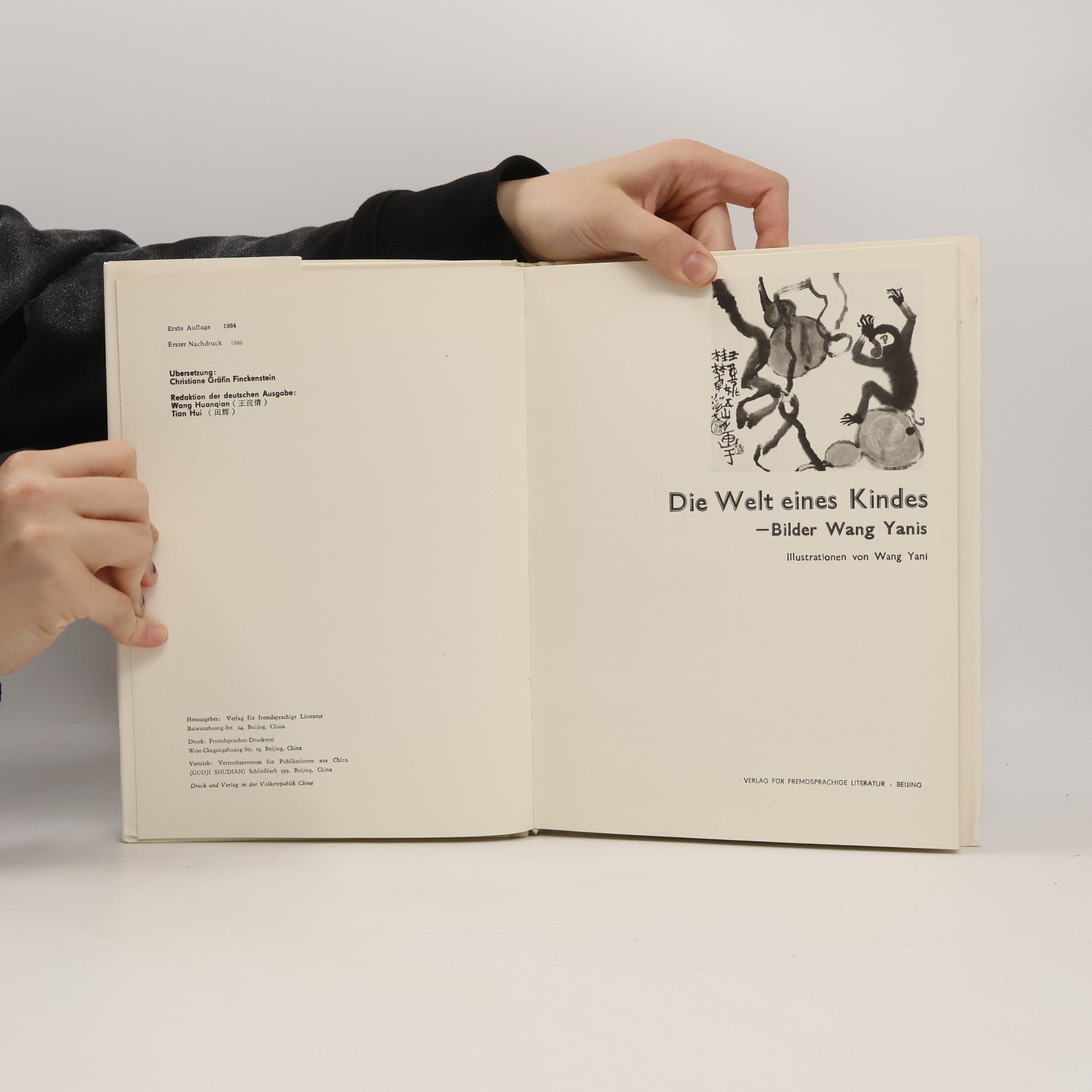Wang Yanis Die Welt eines Kindes