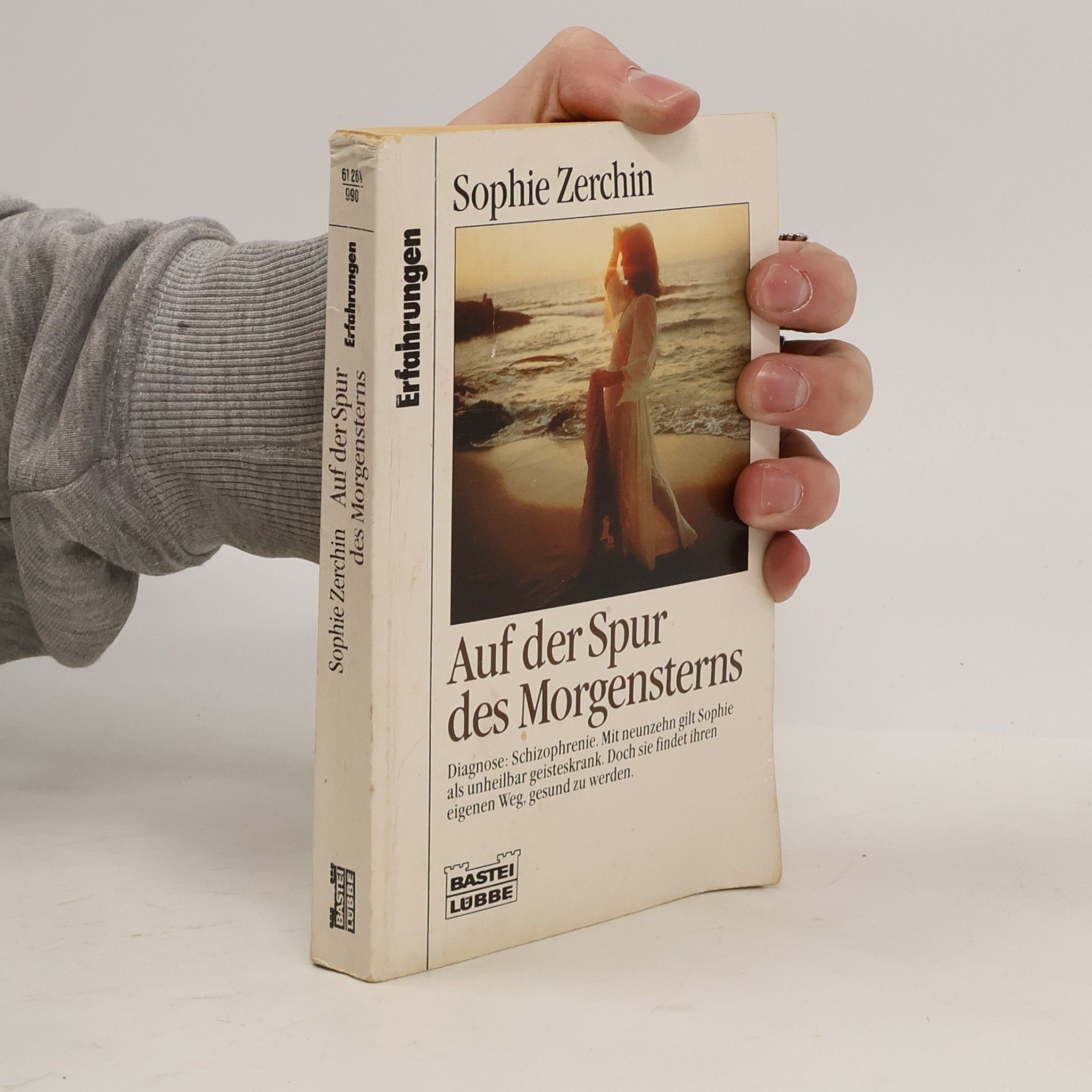Dorothea S. Buck Zerchin Auf der Spur des Morgensterns