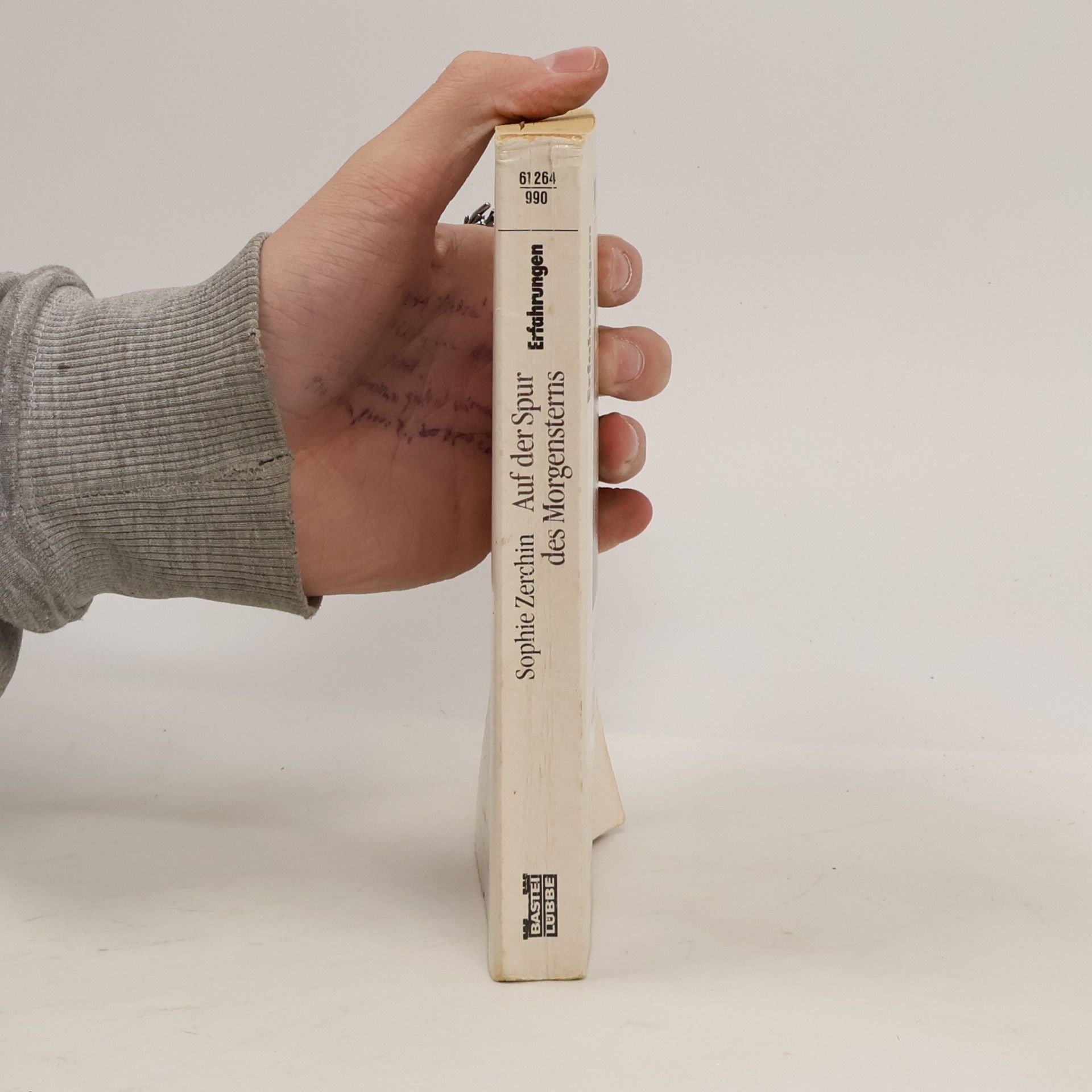 Dorothea S. Buck Zerchin Auf der Spur des Morgensterns
