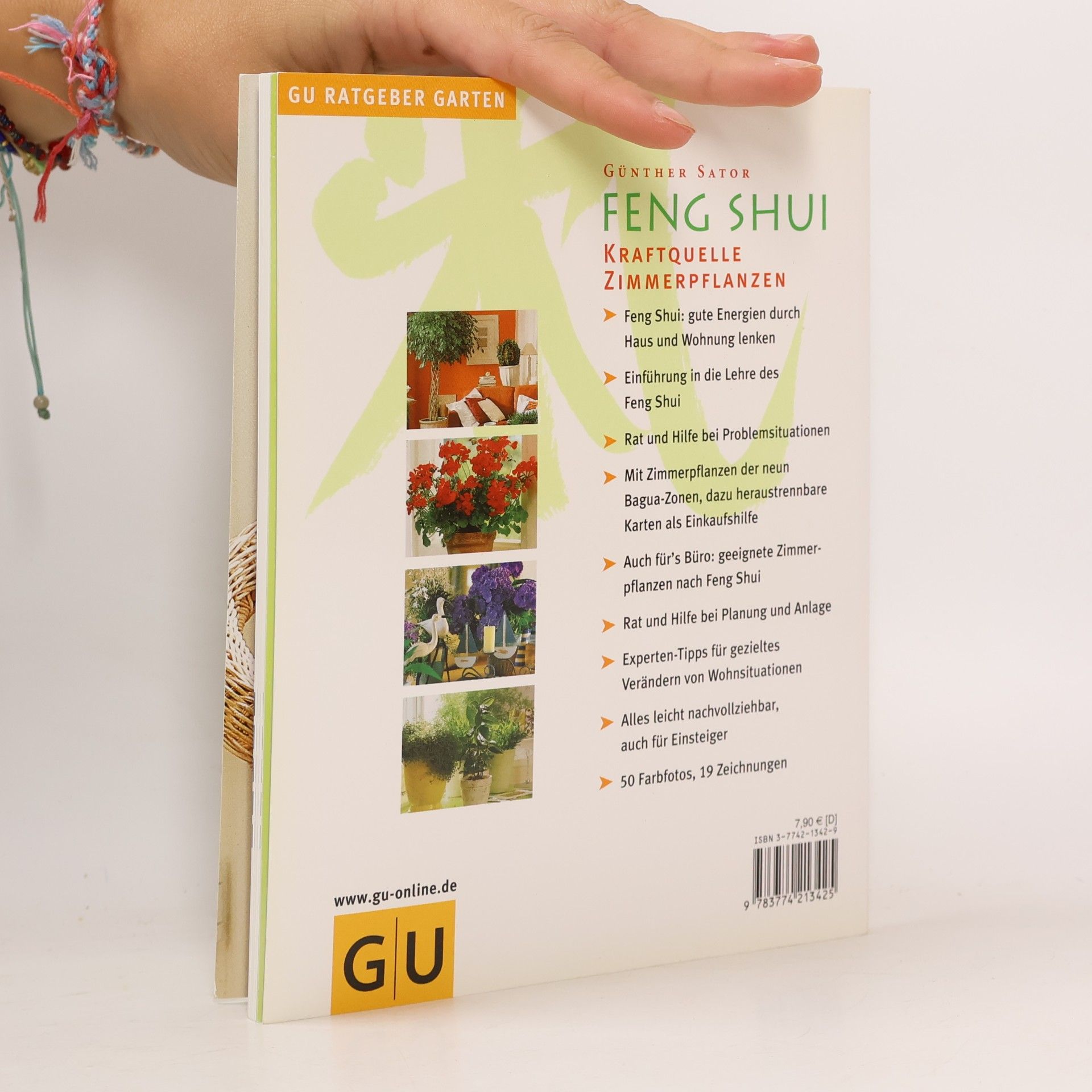 Günther Sator Feng-Shui . Kraftquelle Zimmerpflanzen . Mit herausnehmbaren Einkaufskarten für Zimmerpflanzen