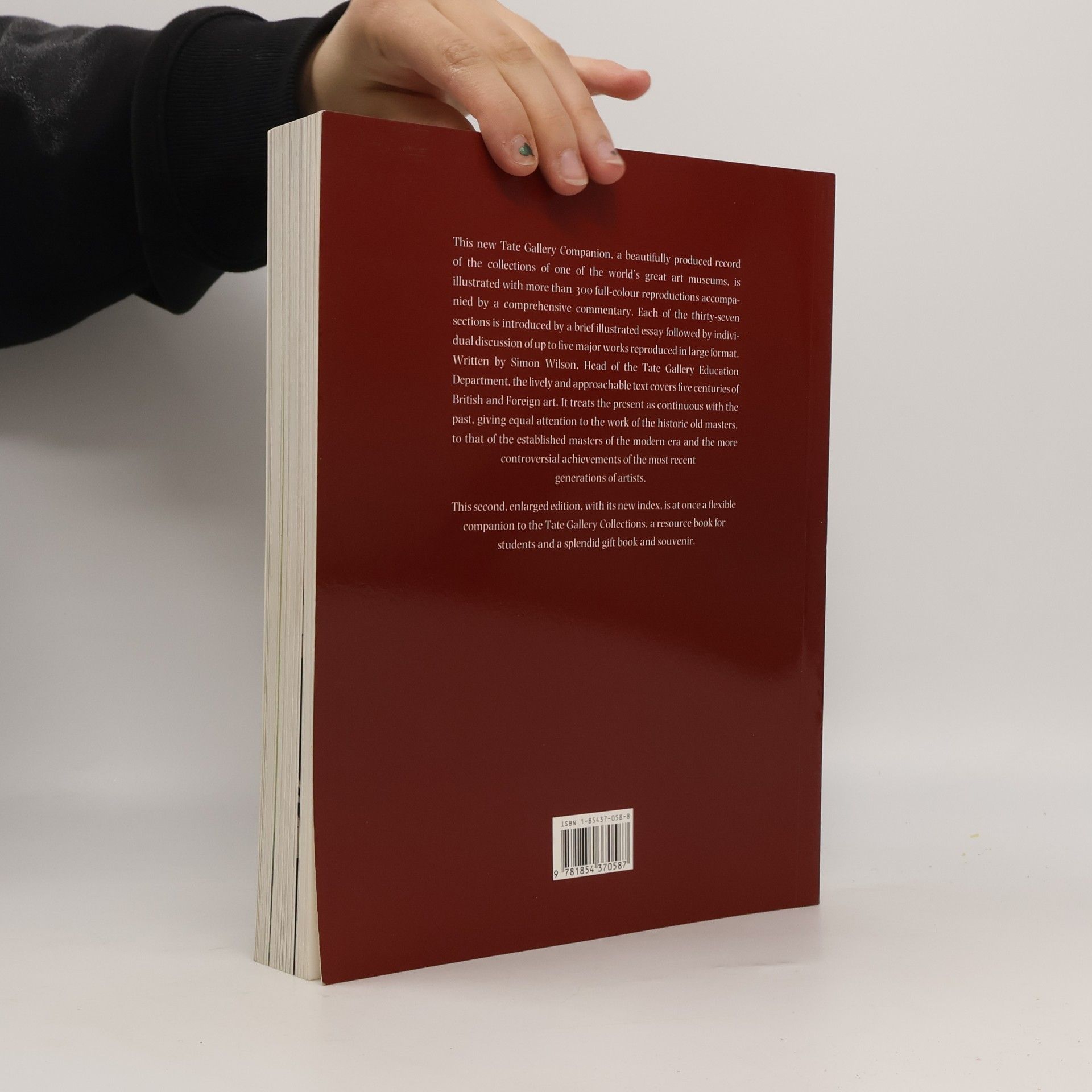 Simon Wilson Tate Gallery. An Illustrated Companion