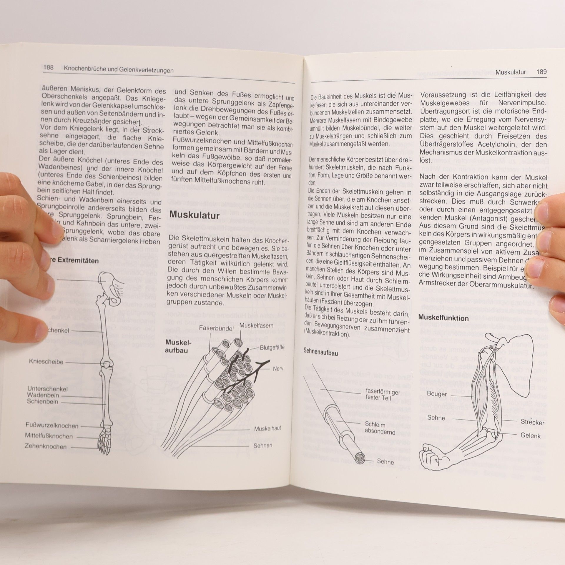Lehrbuch für den Sanitätsdienst