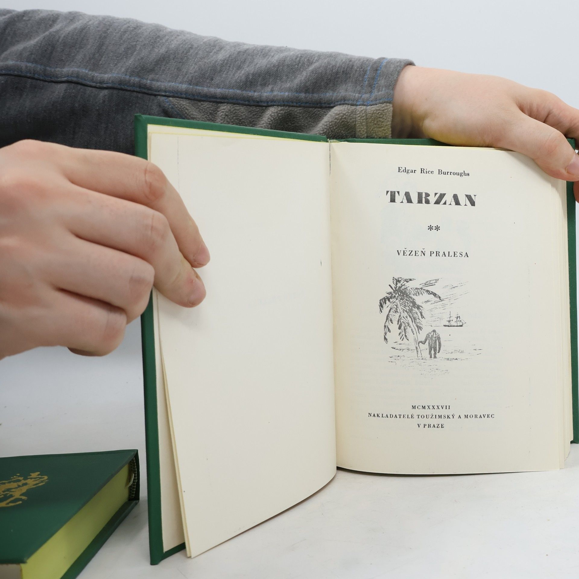 Edgar Rice Burrroughs Tarzan 2