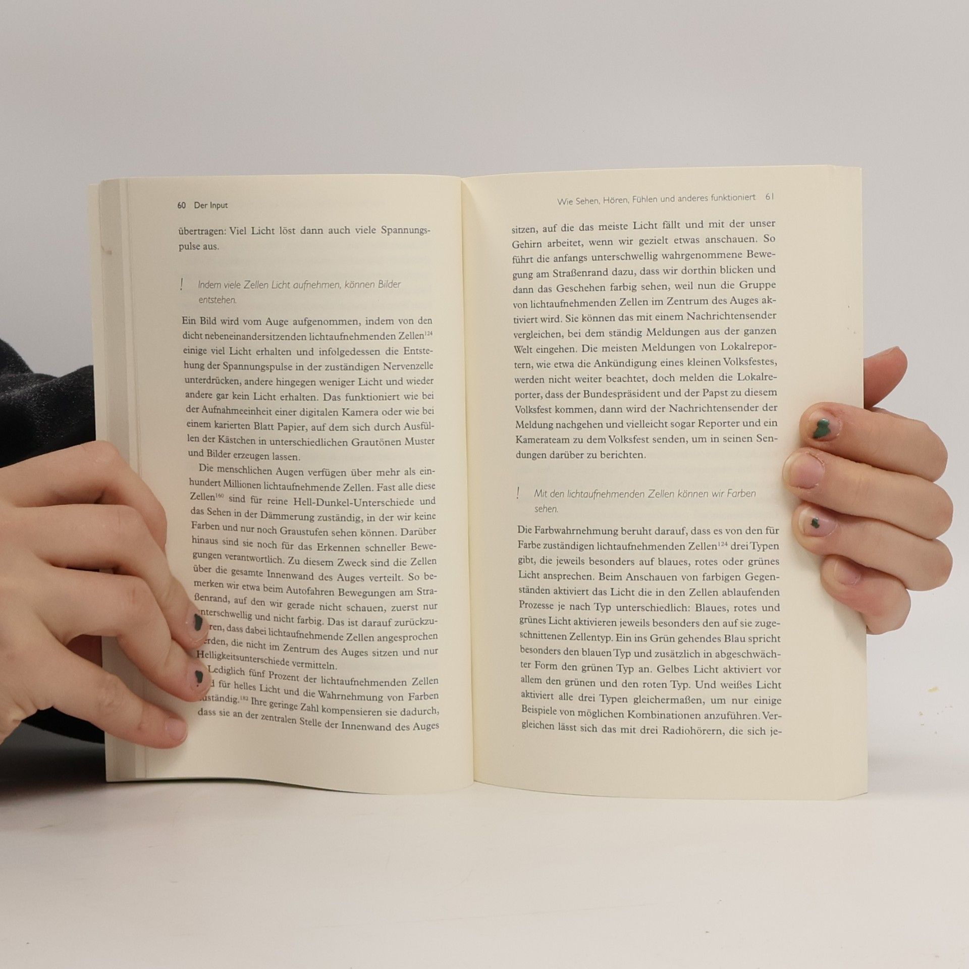 Michael Madeja Das kleine Buch vom Gehirn