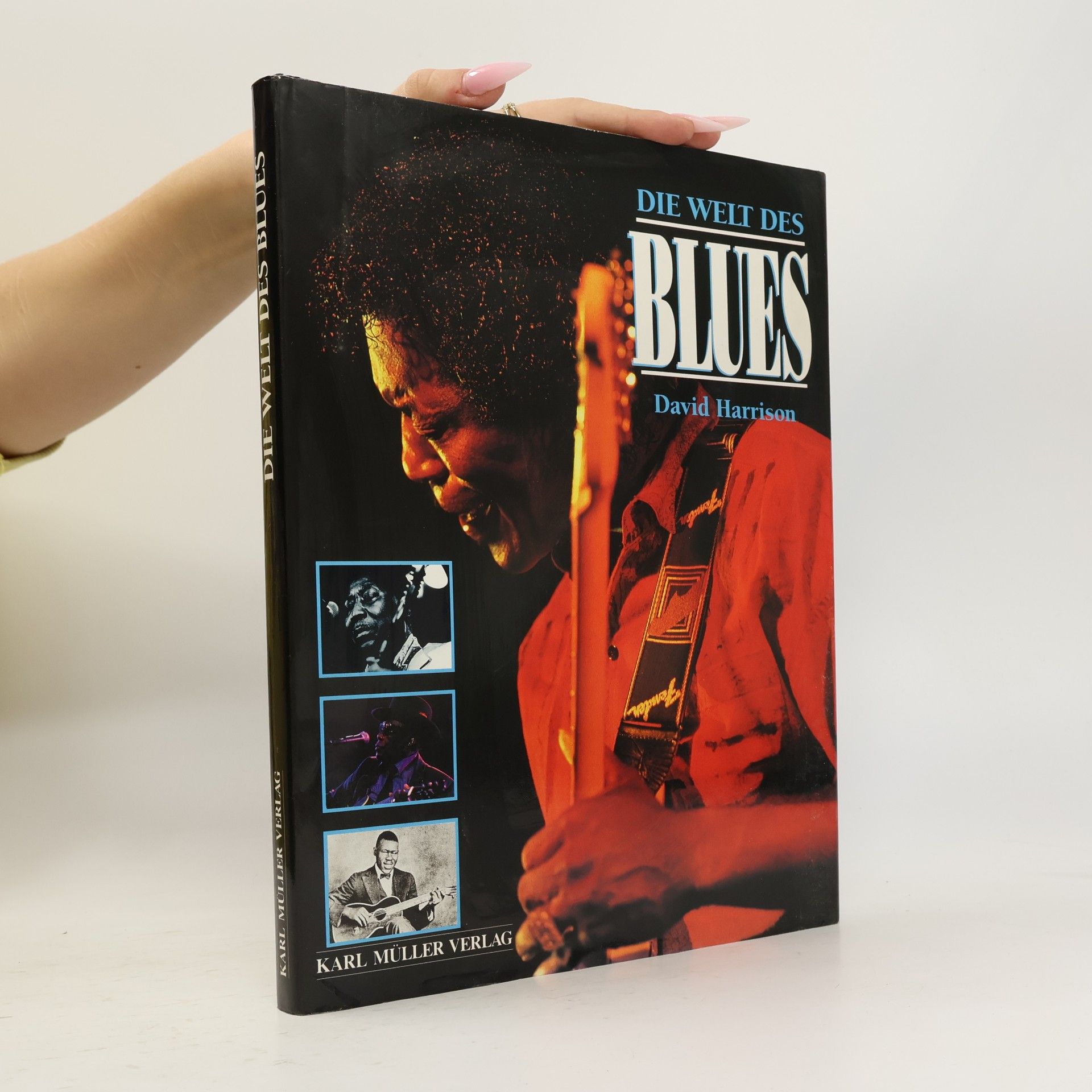 Die Welt des Blues