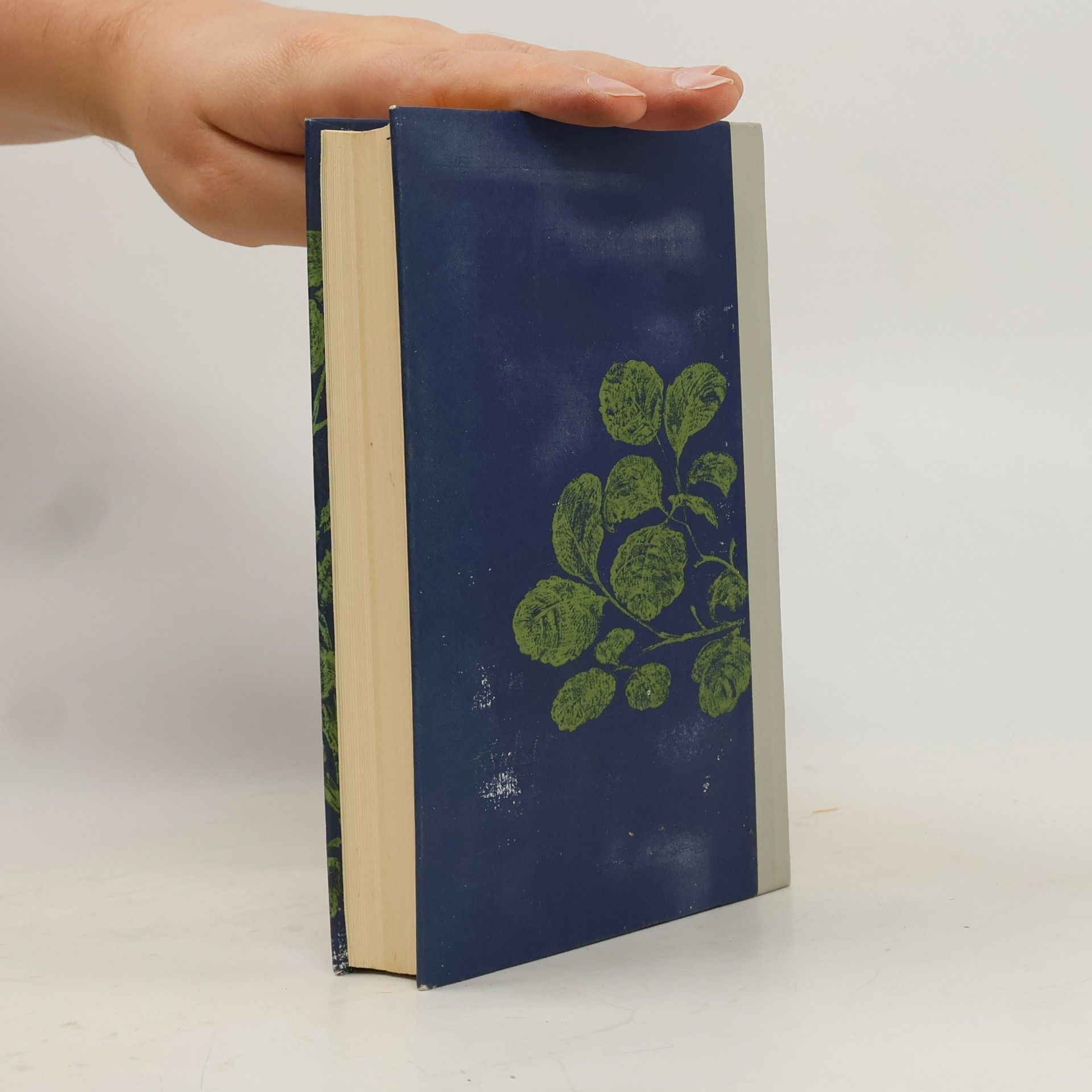 Harper Lee Wer die Nachtigall stört