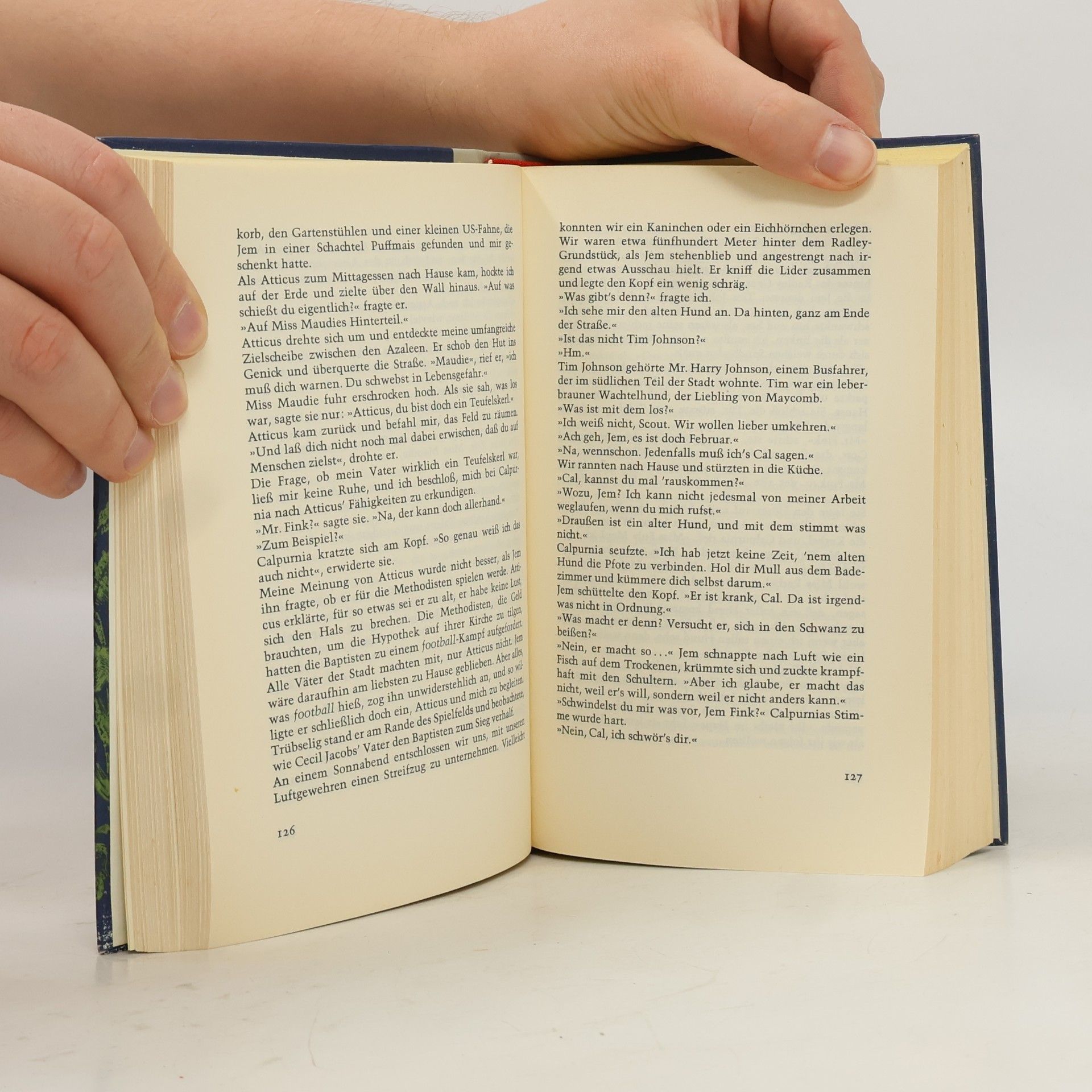 Harper Lee Wer die Nachtigall stört