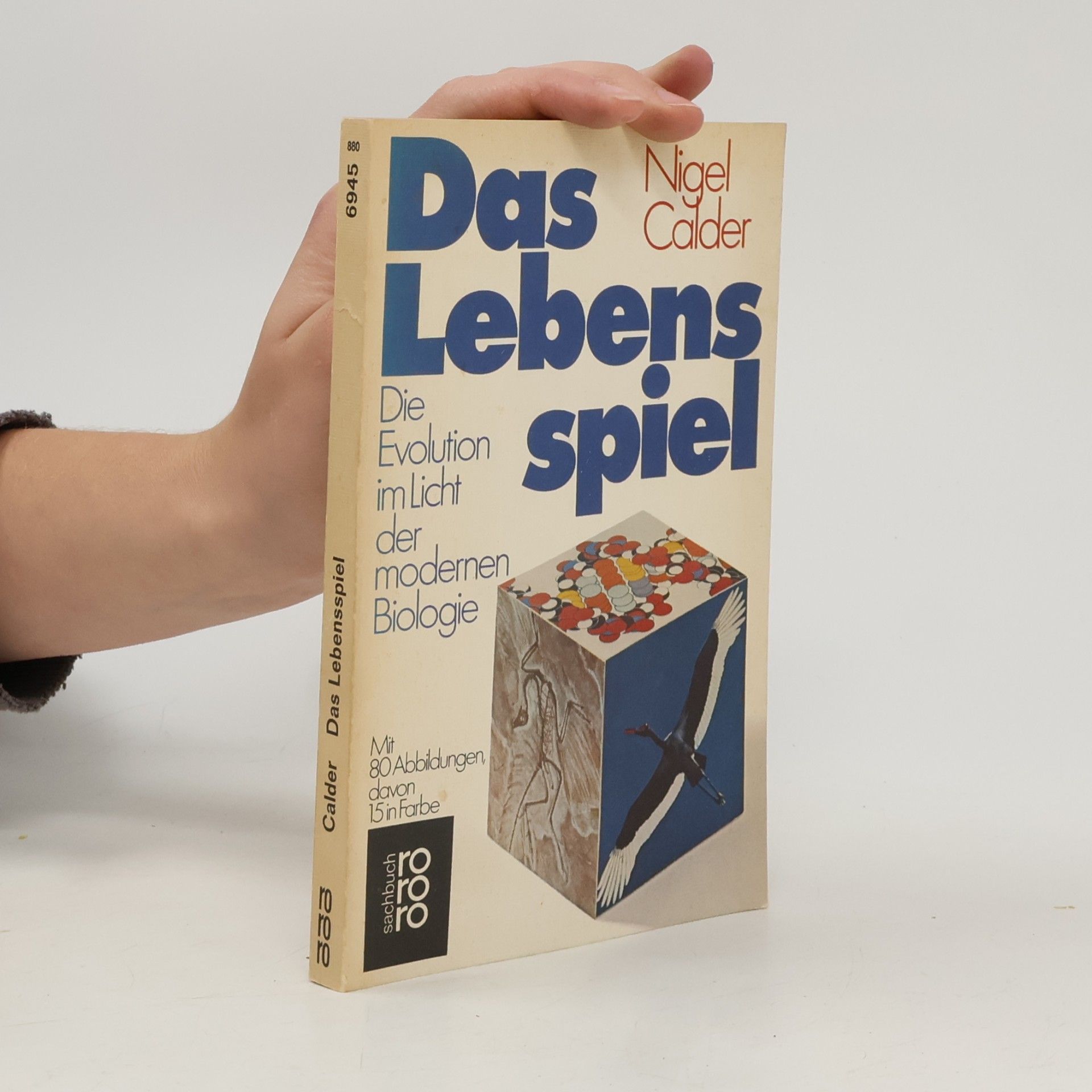 Das Lebensspiel