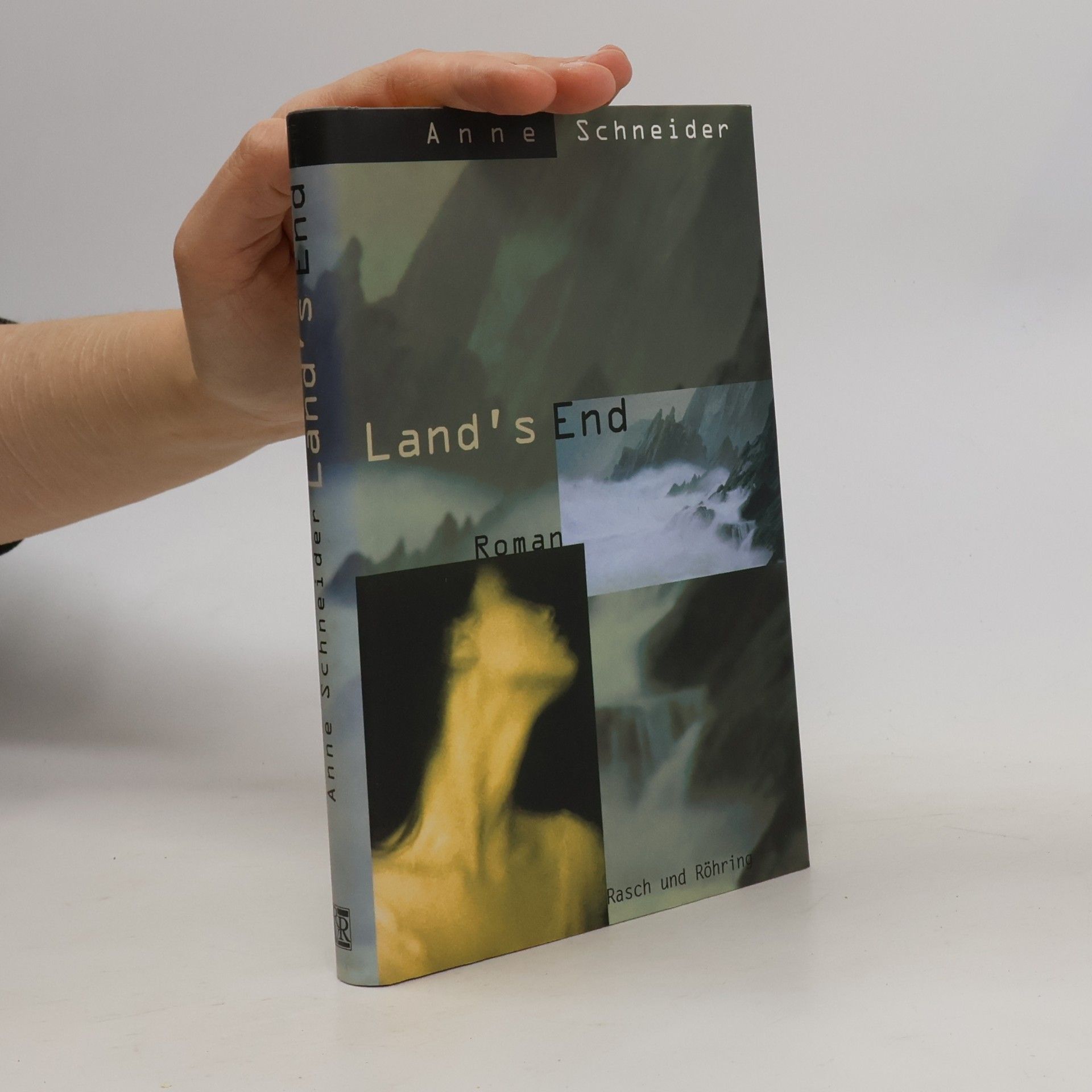 Anne Schneider Land's End