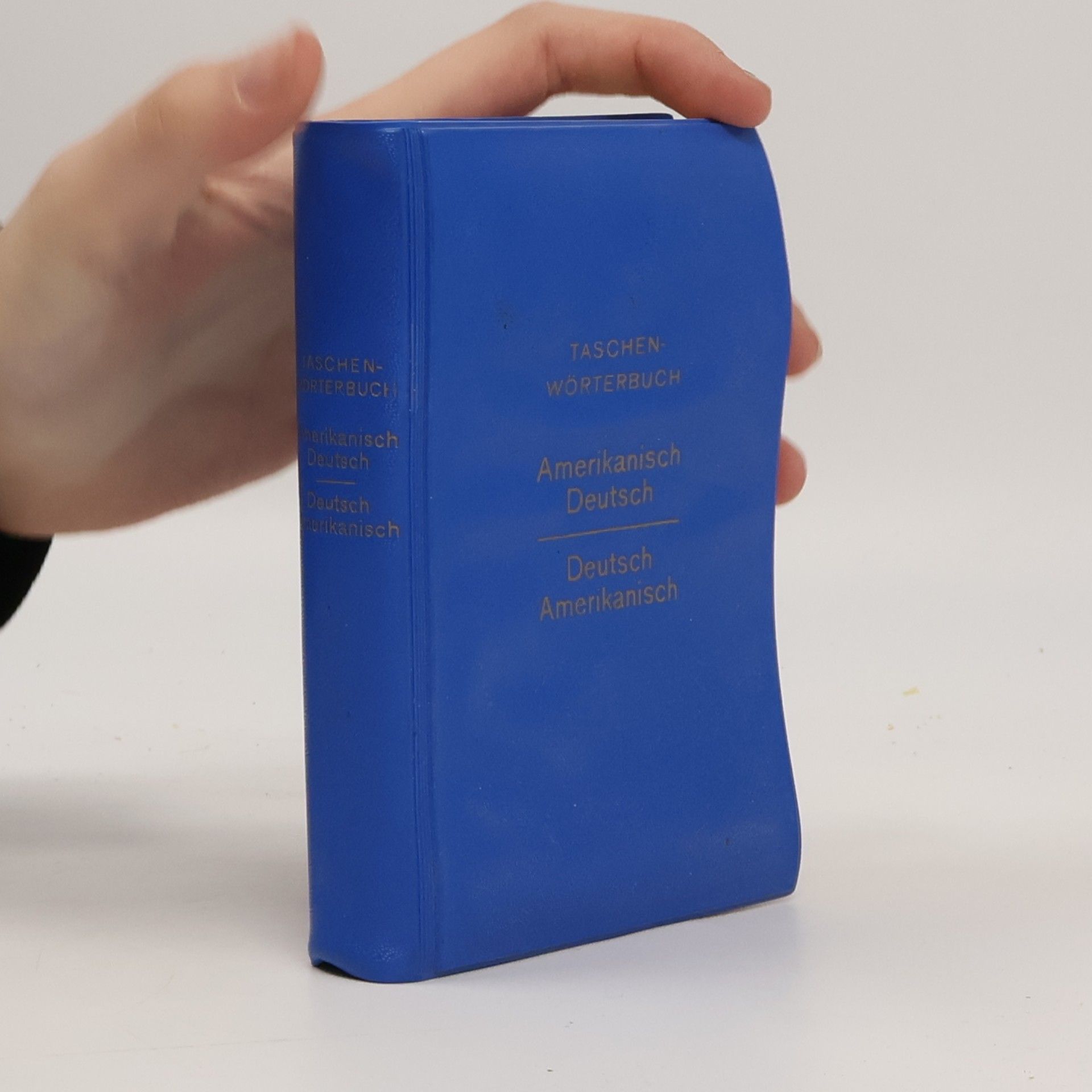 Taschen-Wörterbuch