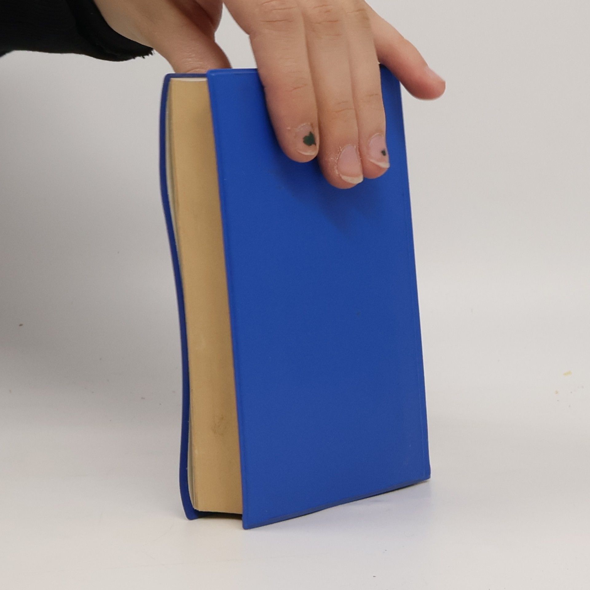 Arthur Mayer Taschen-Wörterbuch