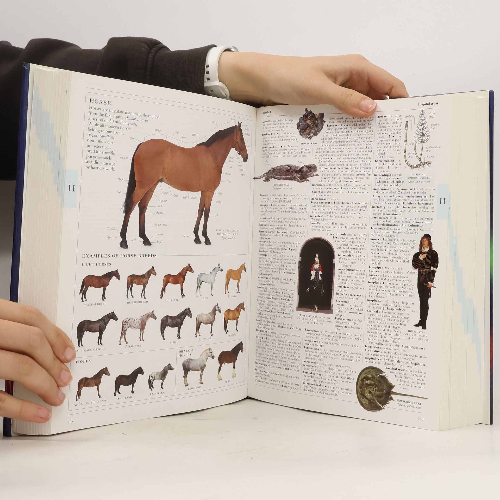 Illustrated Oxford dictionary