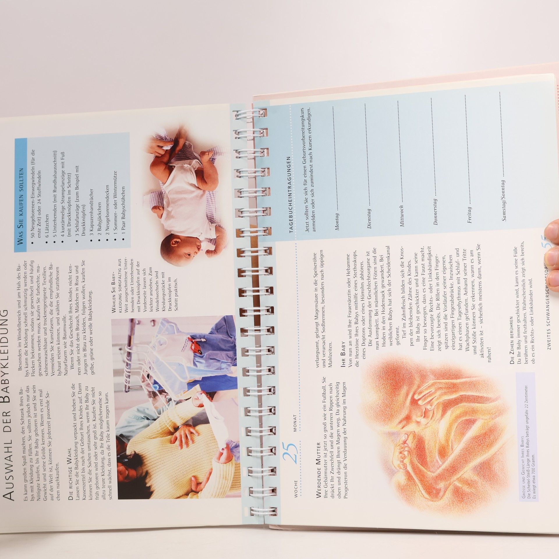 Jane MacDougall Der Schwangerschafts-Kalender