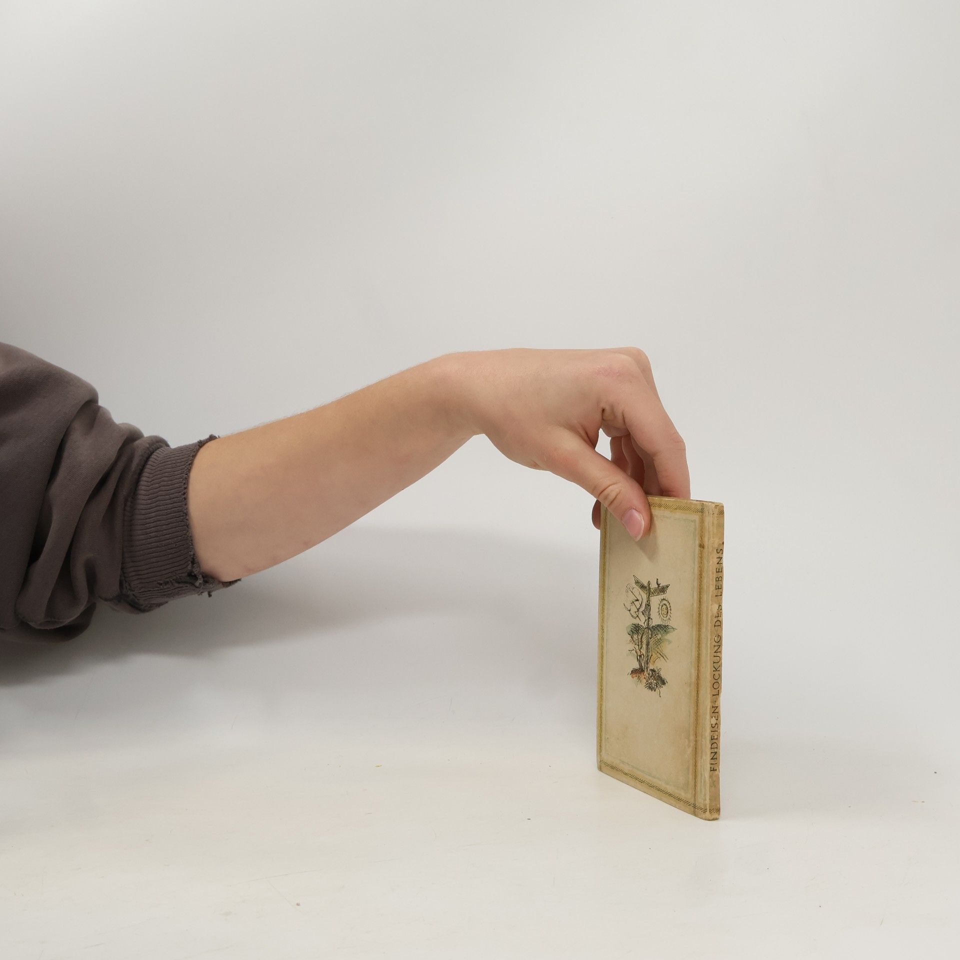 Kurt Arnold Findeisen Lockung des Lebens