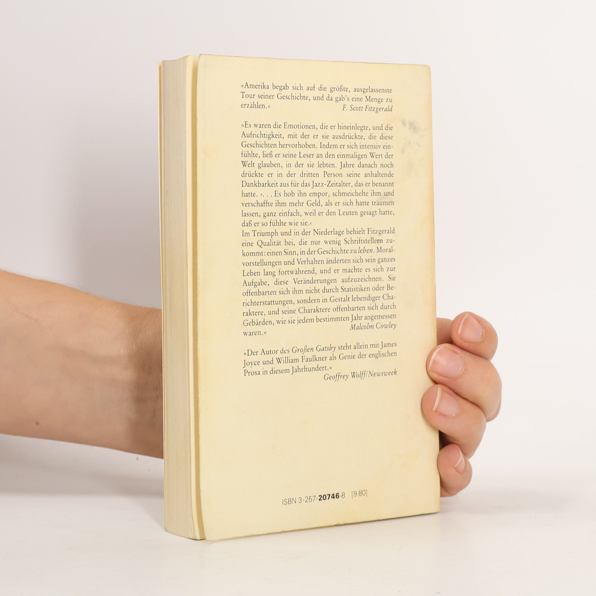 Francis Scott Fitzgerald Der gefangene Schatten