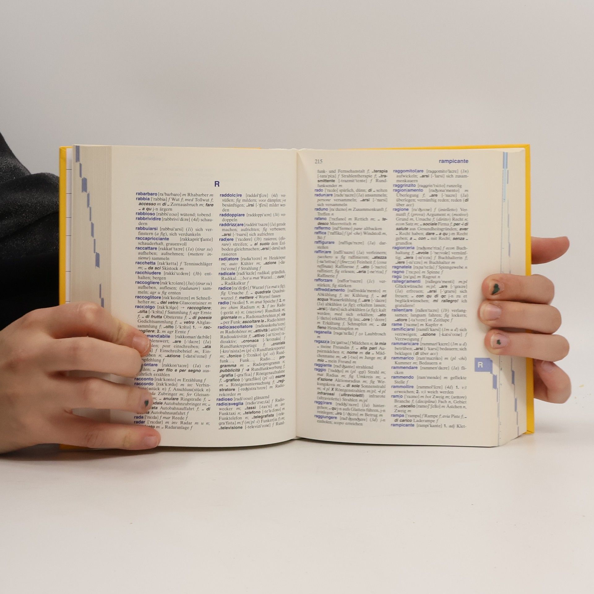 Auteurscollectief Langenscheidt Wörterbuch Italienisch. Italienisch-Deutsch, Deutsch-Italienisch. 45.000 Stichwörter und Wendungen