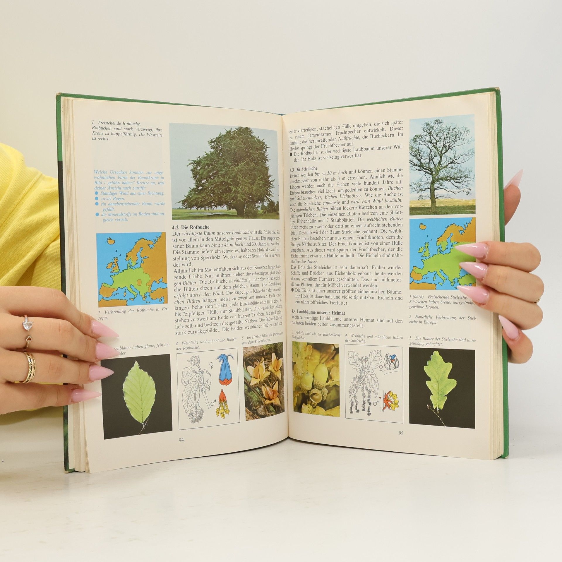Biologie 2 BW/ Gy. Ausgabe Baden-Württemberg