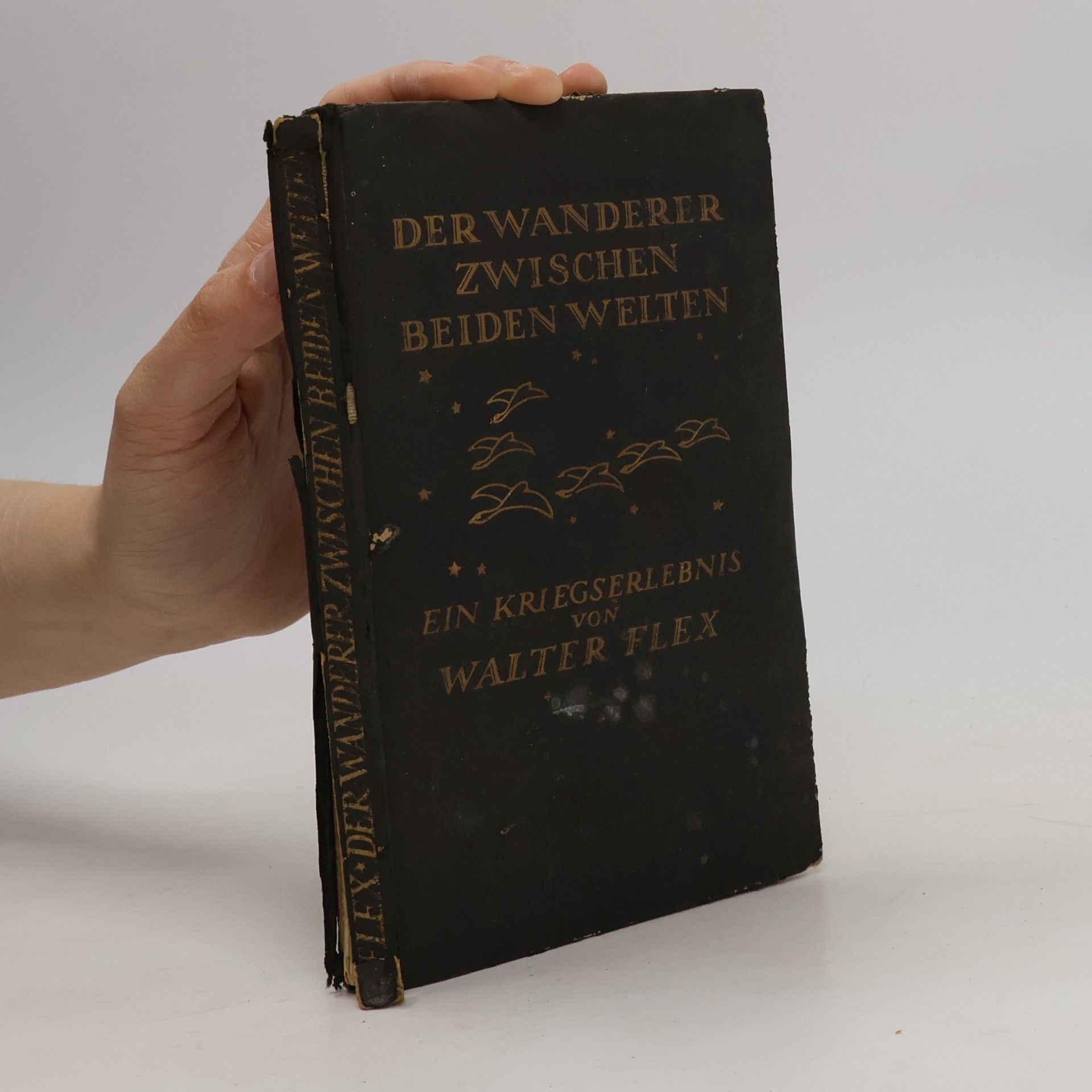 Walter Flex Der Wanderer zwischen beiden Welten