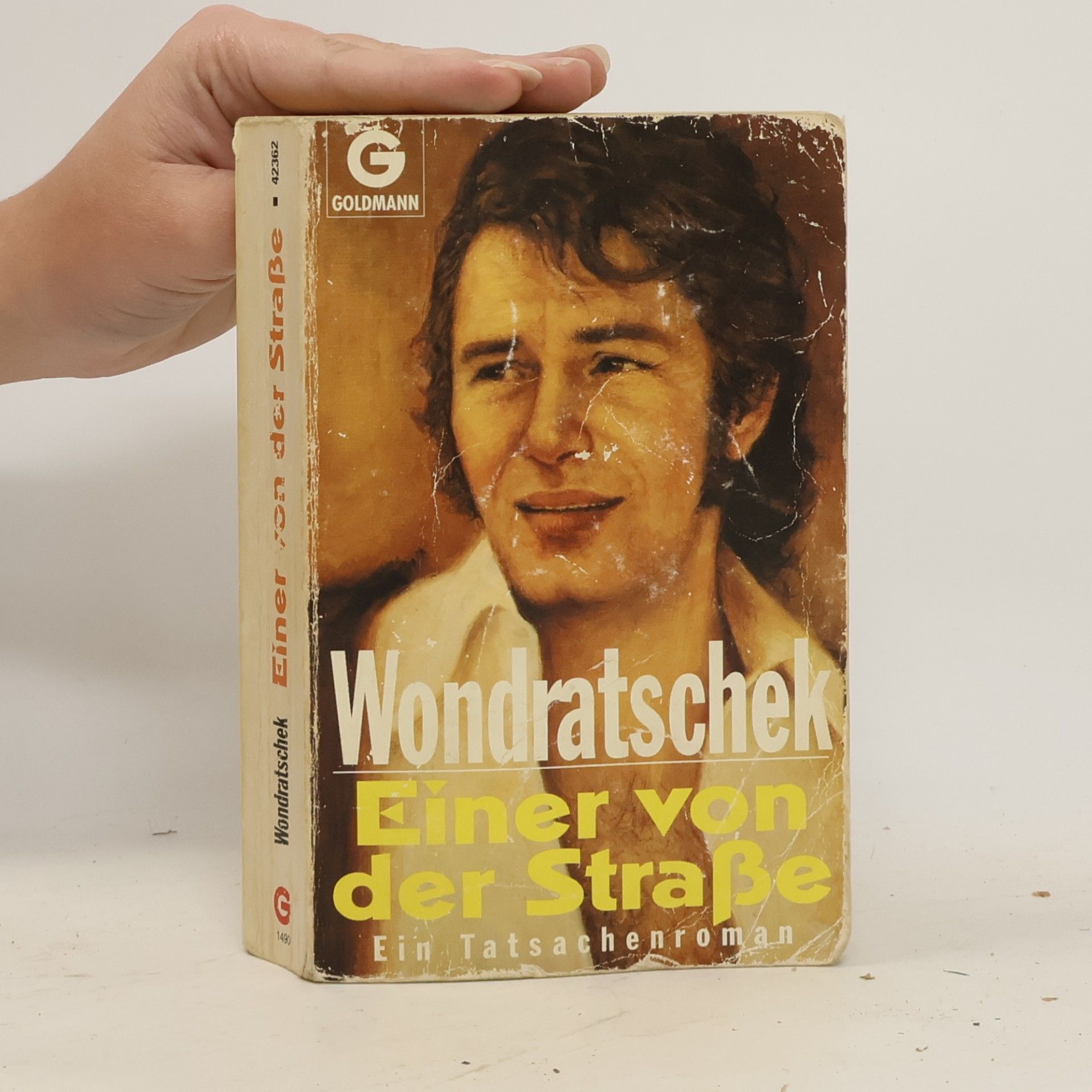 Wolf Wondratschek Einer von der Strasse