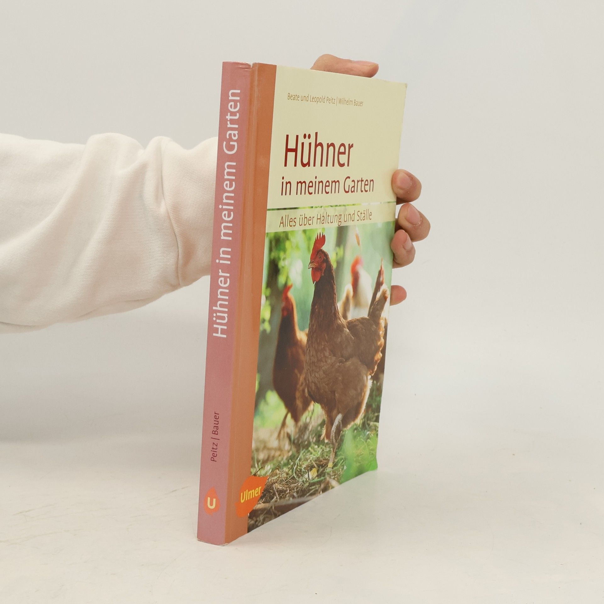 Hühner in meinem Garten