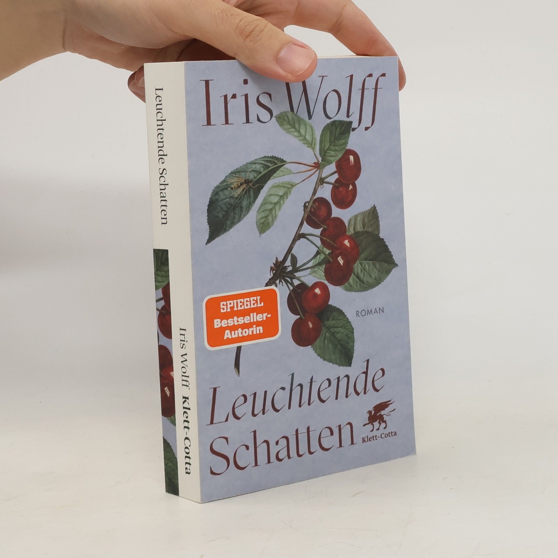 Leuchtende Schatten: Roman
