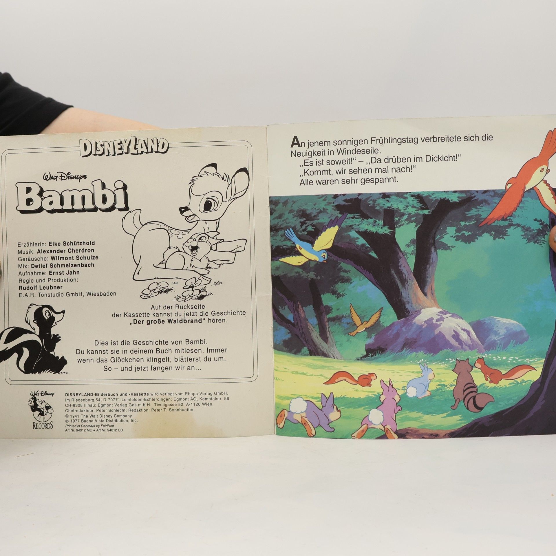 Autorenkollektiv Bambi