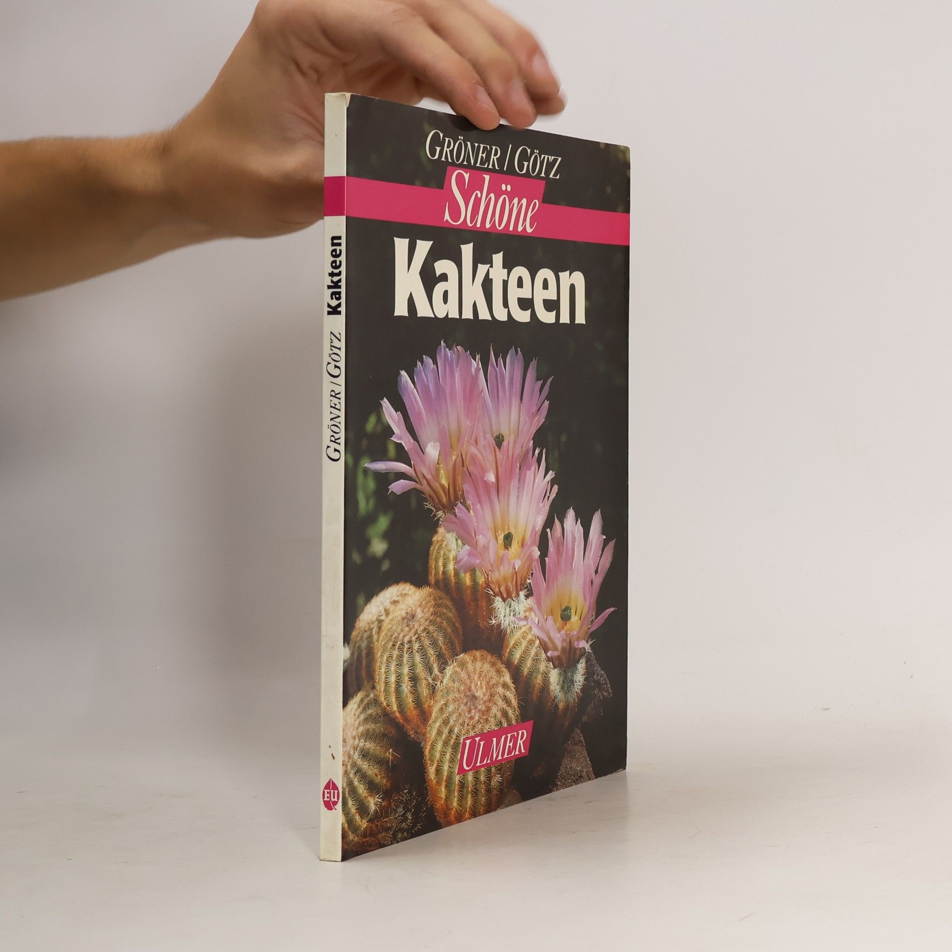 Schöne Kakteen