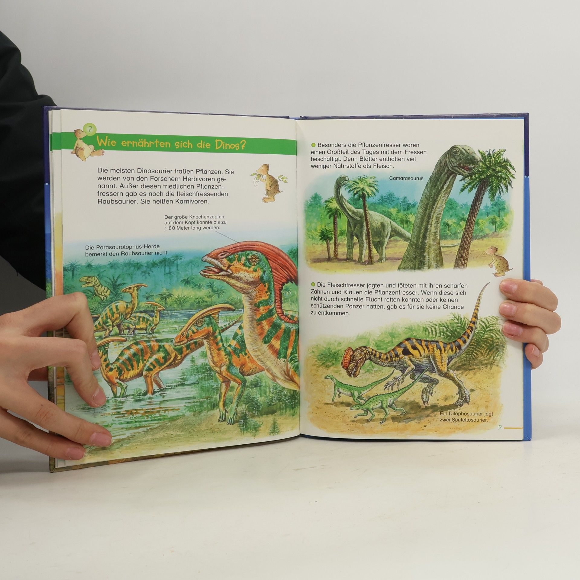 Marilis Lunkenbein Dinosaurier